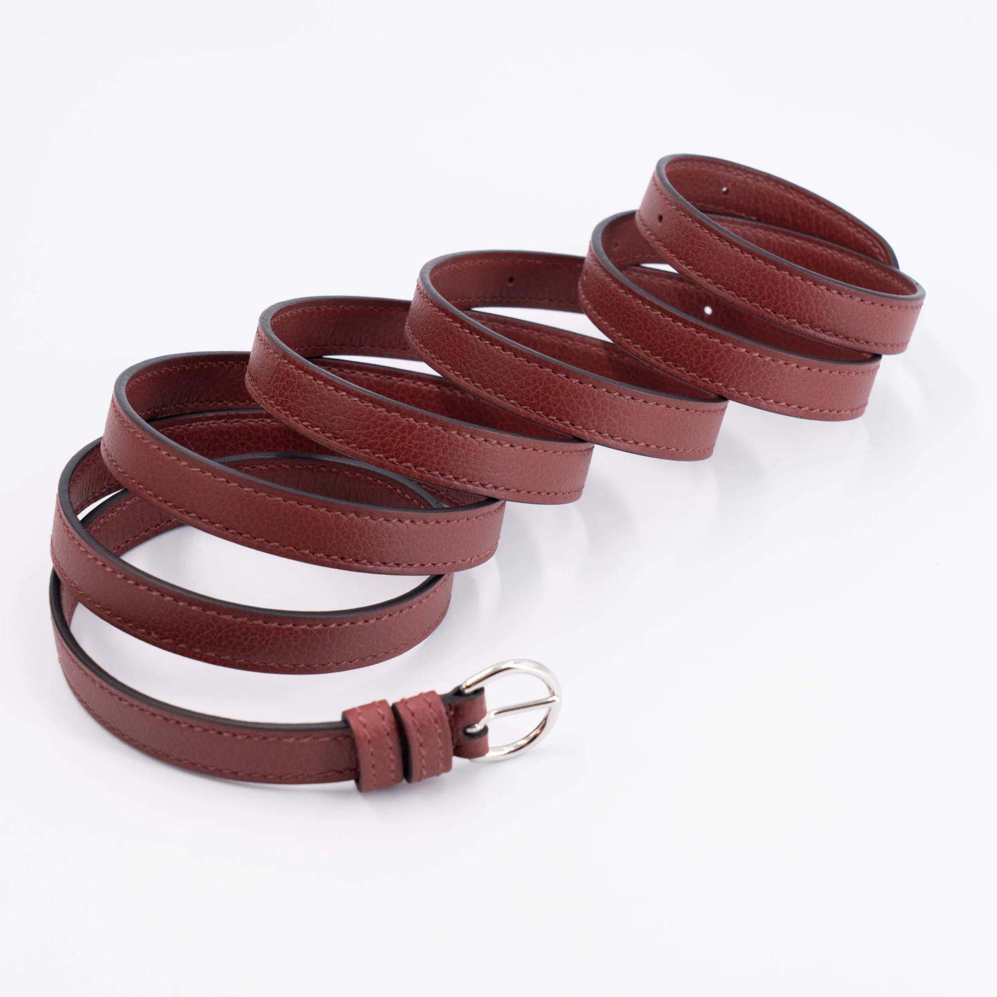 Brand New ( Rank N ) HERMÈS Kelly Danse Rouge H (55) Evercolor Palladium hardware G (2026) - 15