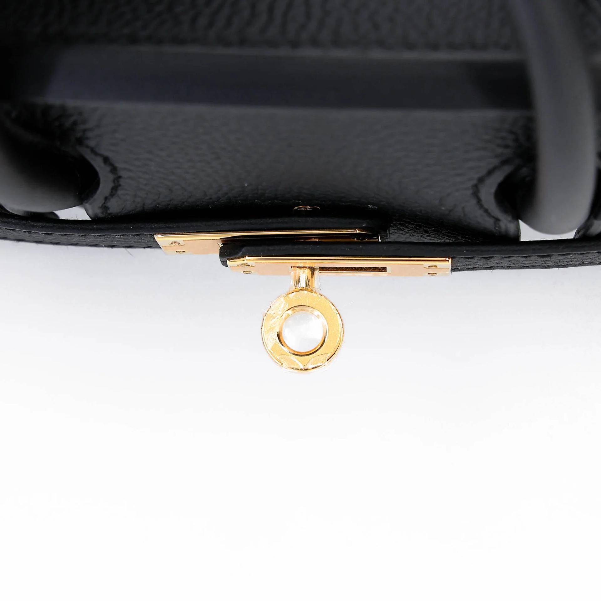 Brand New ( Rank N ) HERMÈS Birkin 25 Noir (89) Togo Gold hardware G (2026) - 9