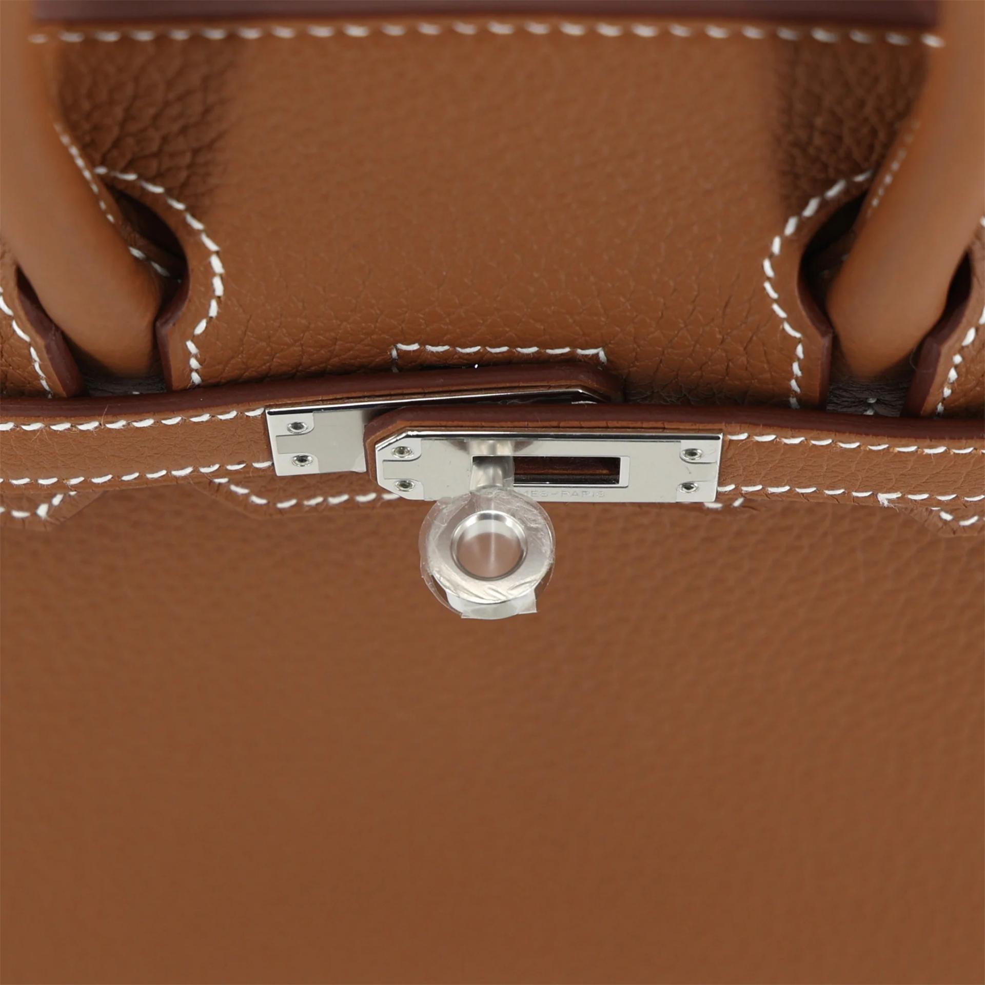 Brand New ( Rank N ) HERMÈS Birkin 25 Gold (37) Togo Palladium hardware G (2026) - 9