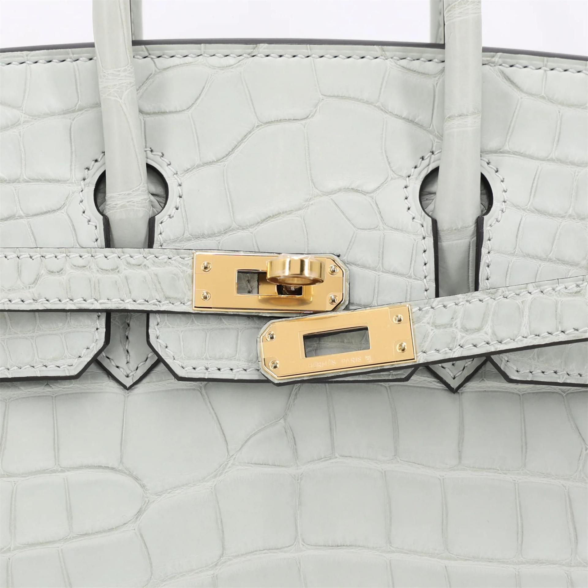 Brand New ( Rank N ) HERMÈS Birkin 25 Gris Neve (0W) Matte Alligator Gold hardware K (2025) - 8