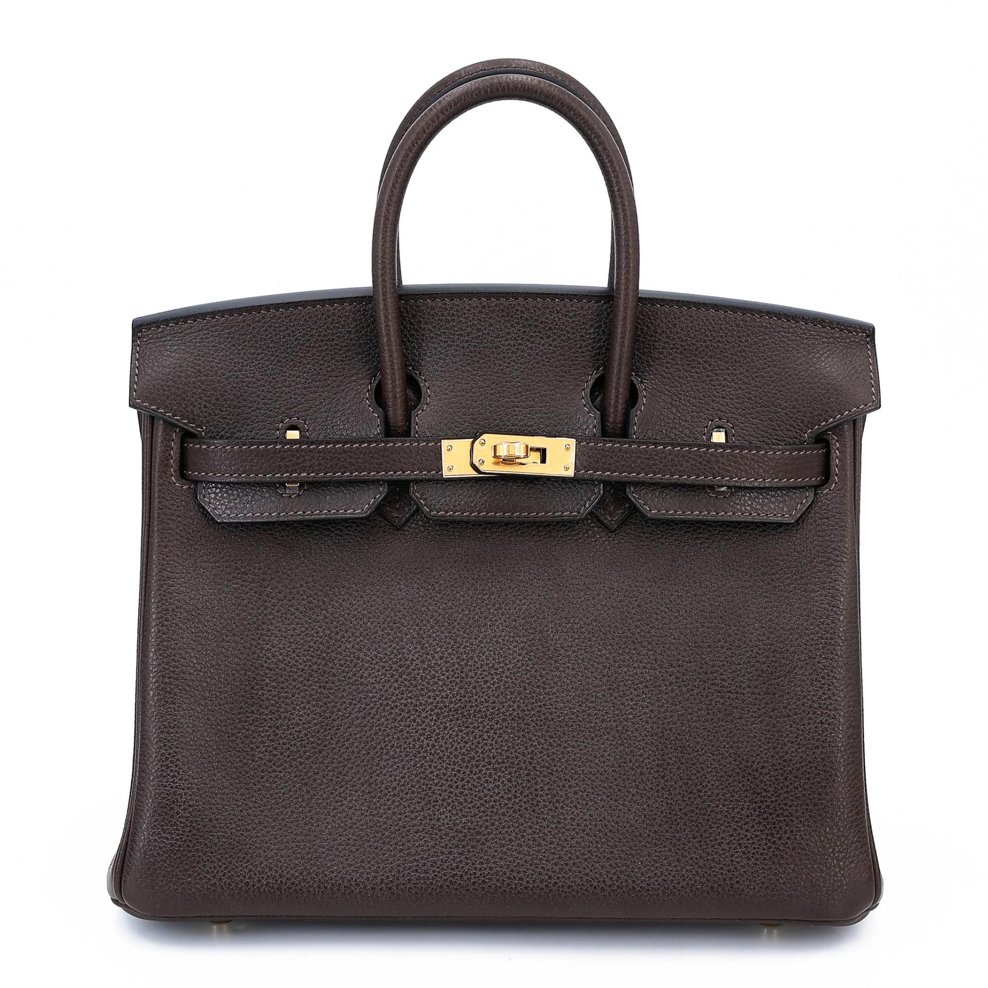 Birkin 25 Ebene (46)