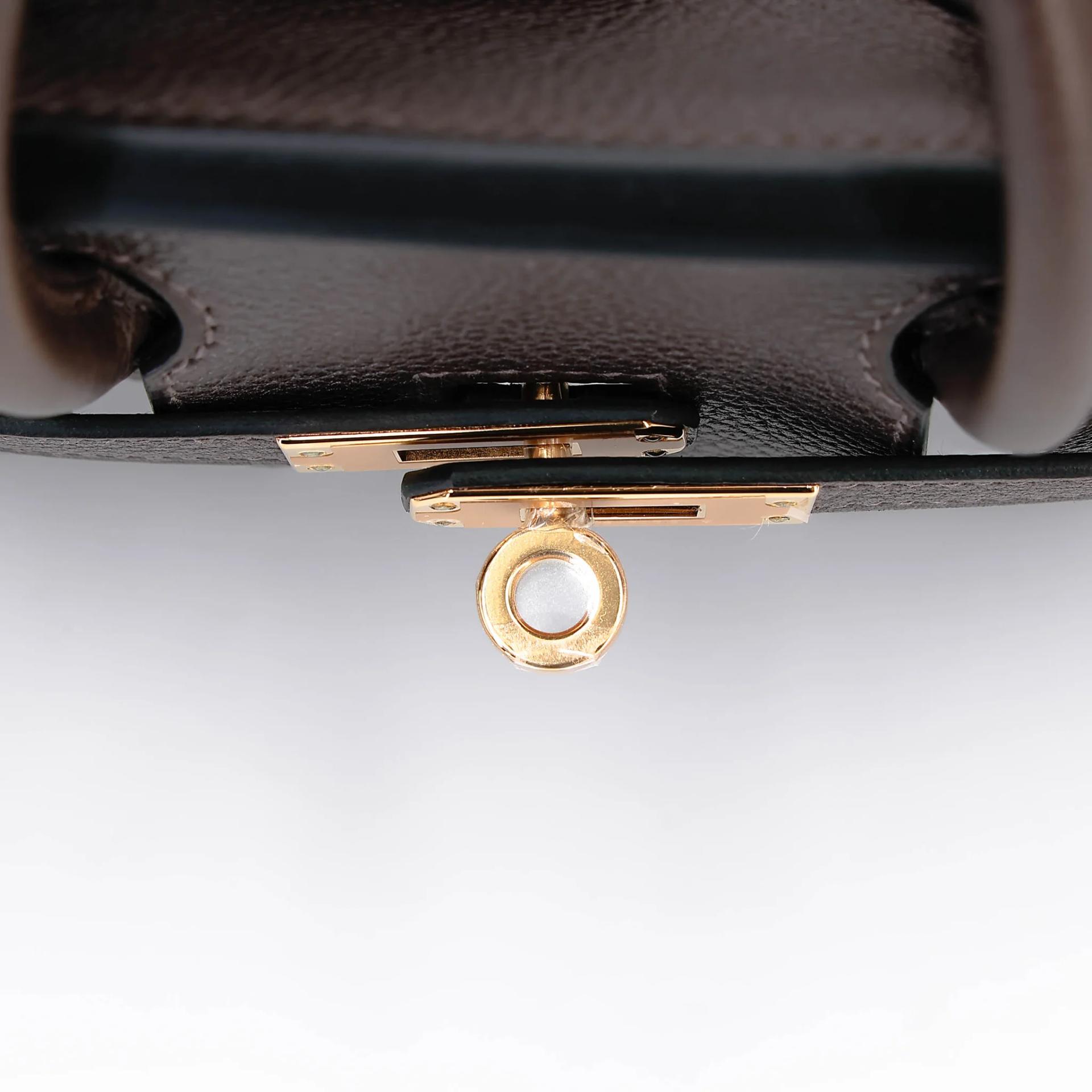 Unused ( Rank NS ) HERMÈS Birkin 25 Ebene (46) Barenia Gold hardware B (2023) - 11