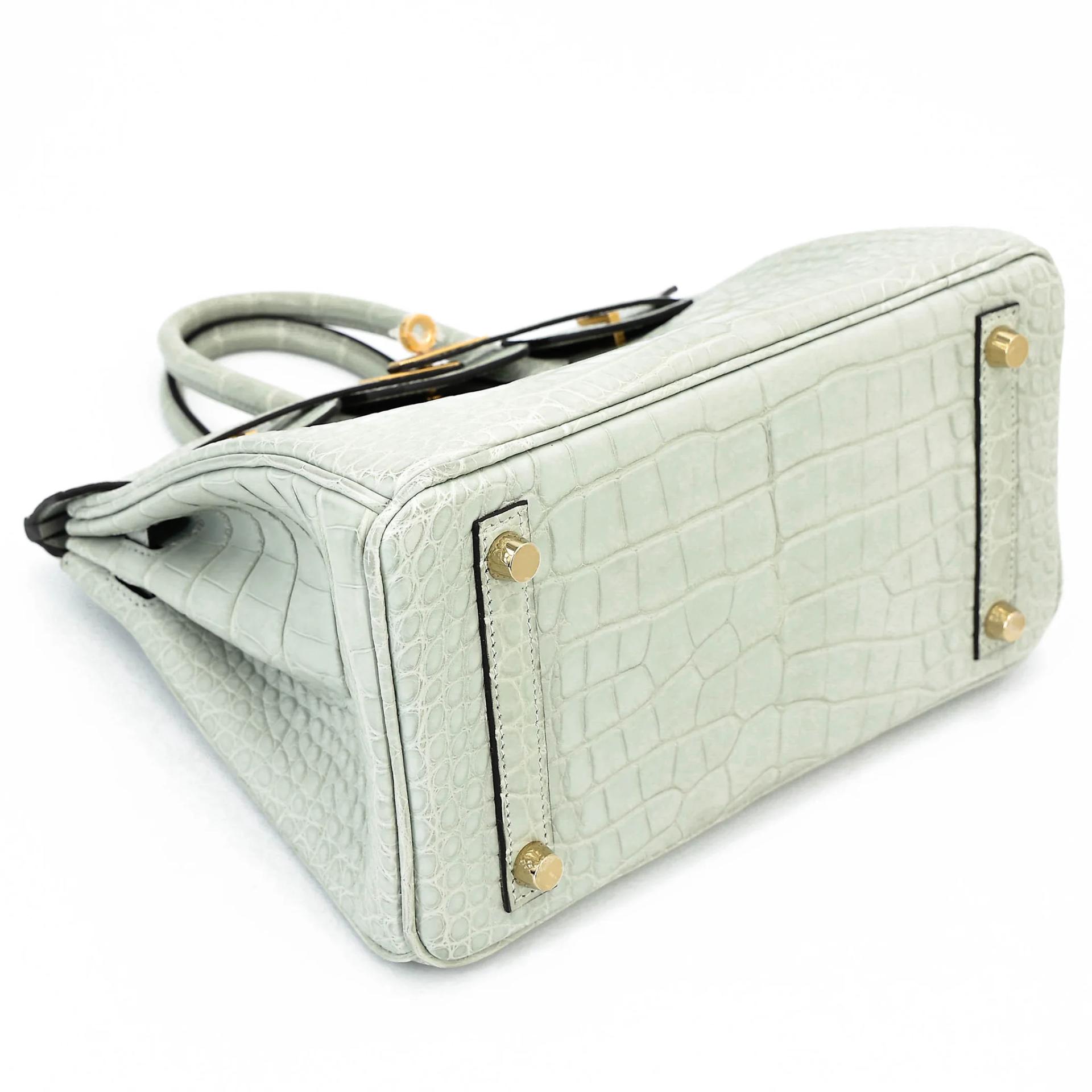 Unused ( Rank NS ) HERMÈS Birkin 25 Gris Neve (0W) Matte Alligator Gold hardware B (2023) - 5