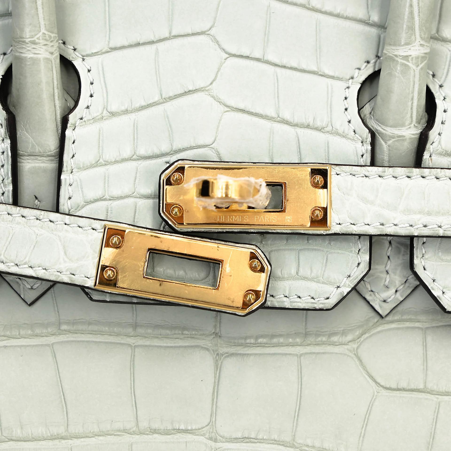 Unused ( Rank NS ) HERMÈS Birkin 25 Gris Neve (0W) Matte Alligator Gold hardware B (2023) - 8