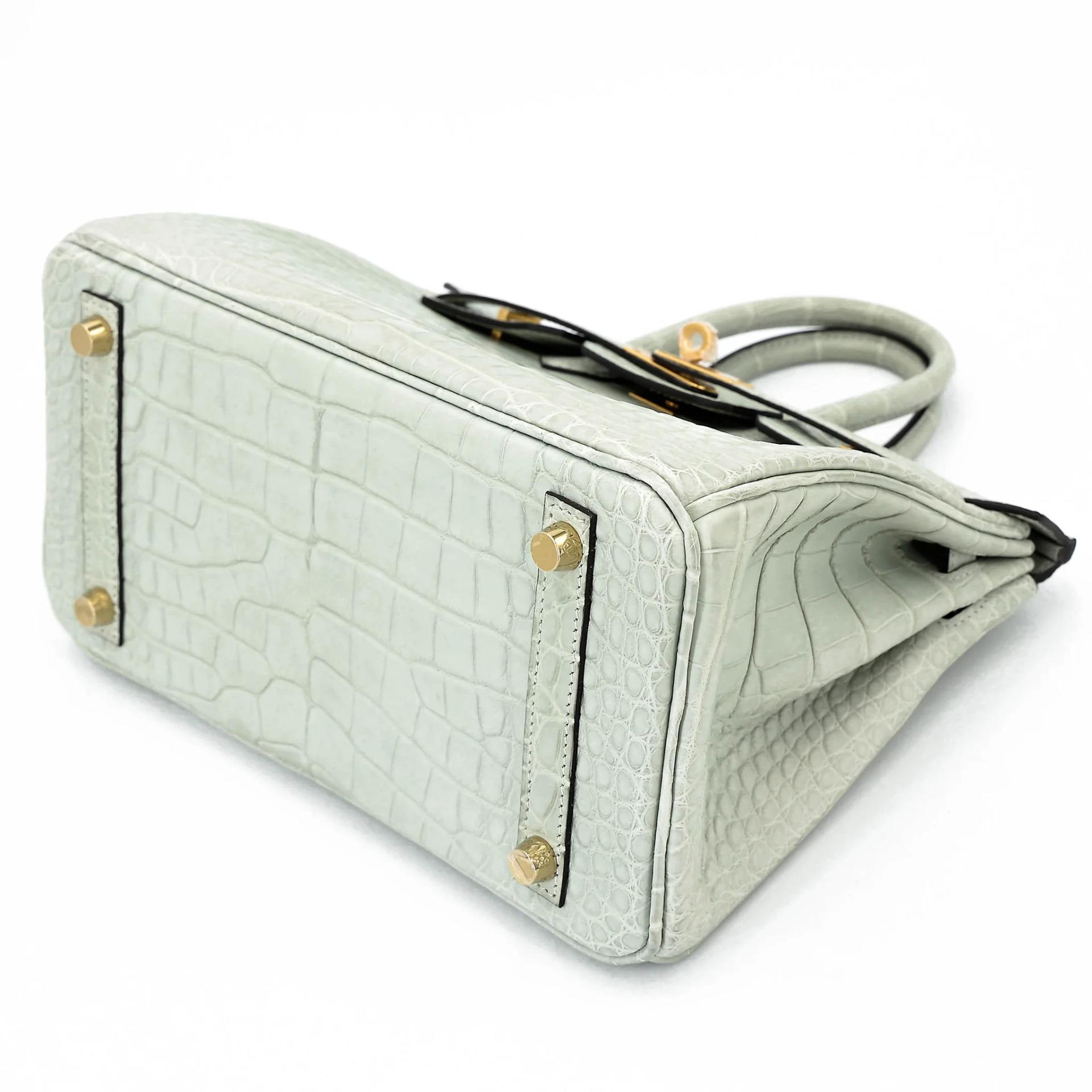 Unused ( Rank NS ) HERMÈS Birkin 25 Gris Neve (0W) Matte Alligator Gold hardware B (2023) - 4