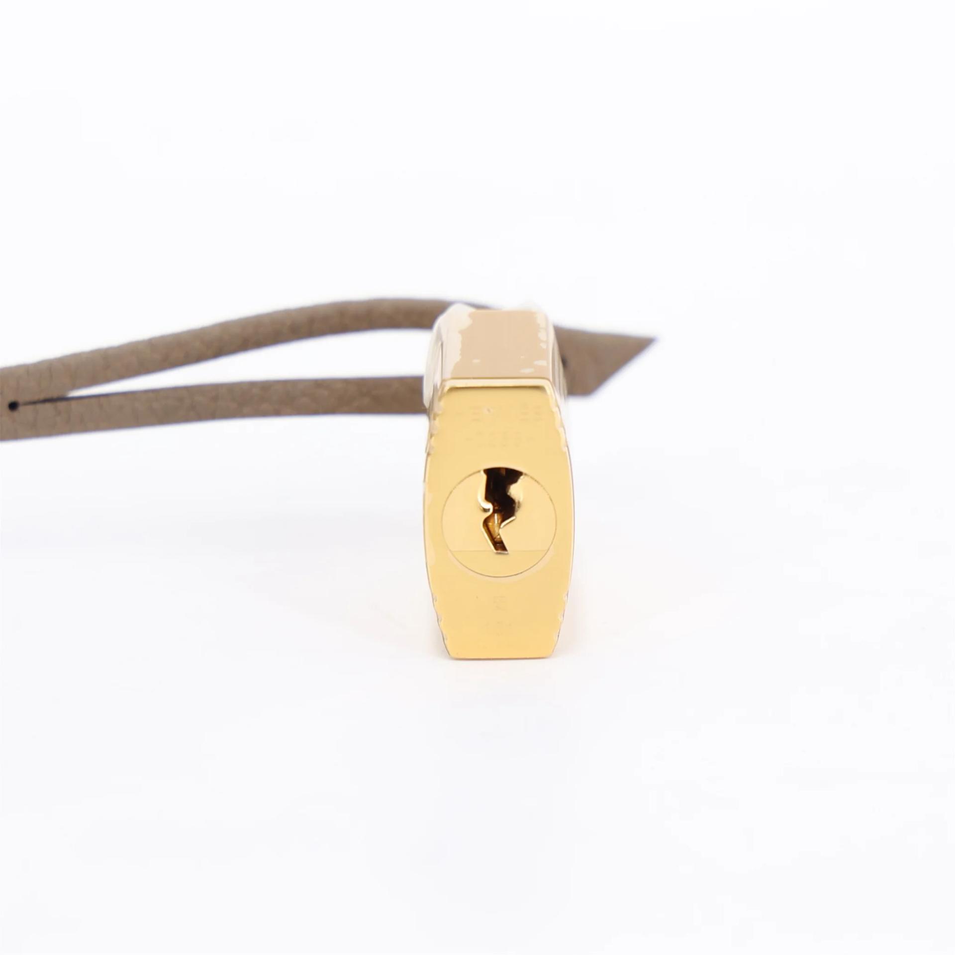 Brand New ( Rank N ) HERMÈS Birkin 25 Etoupe (18) Togo Gold hardware G (2026) - 17