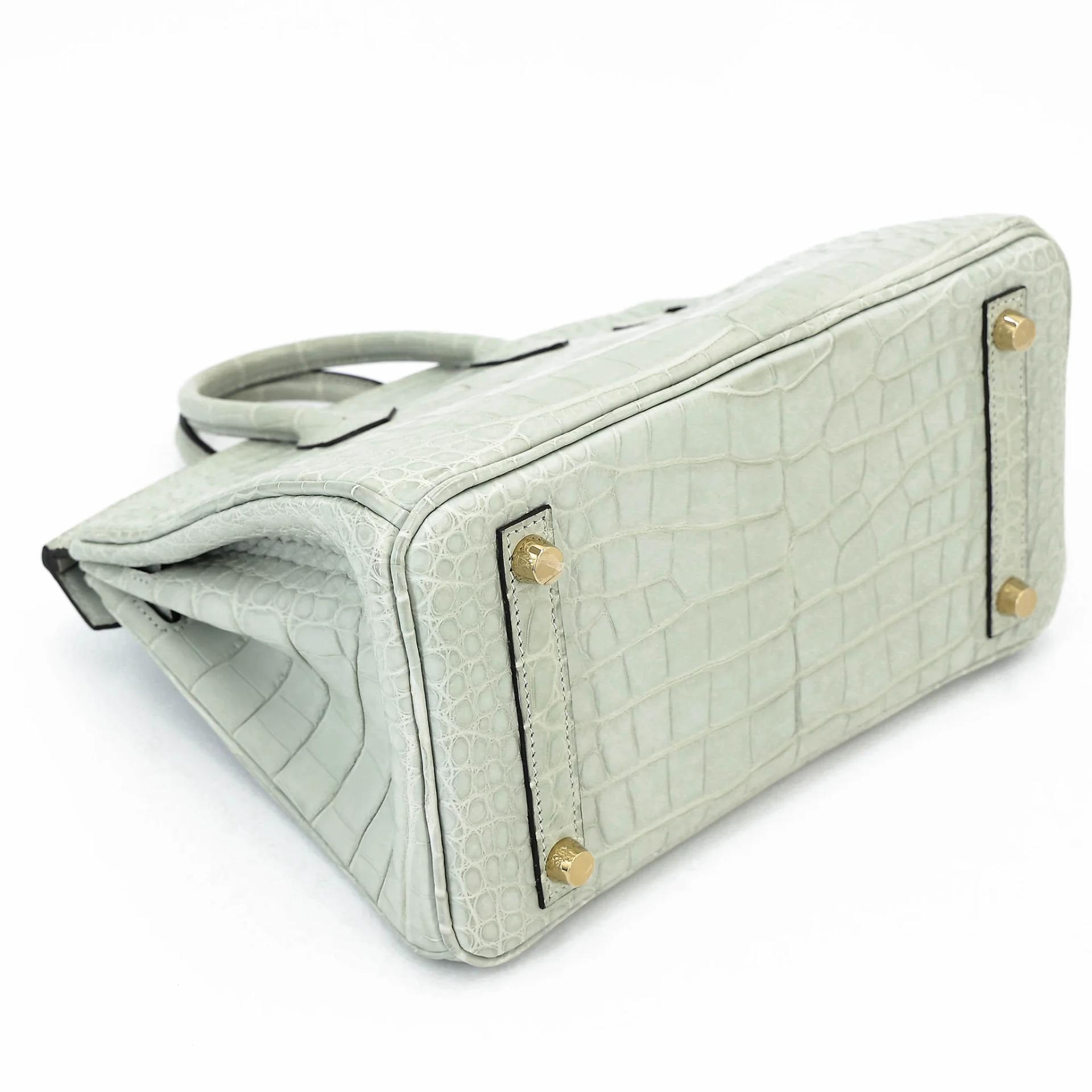 Unused ( Rank NS ) HERMÈS Birkin 25 Gris Neve (0W) Matte Alligator Gold hardware B (2023) - 7