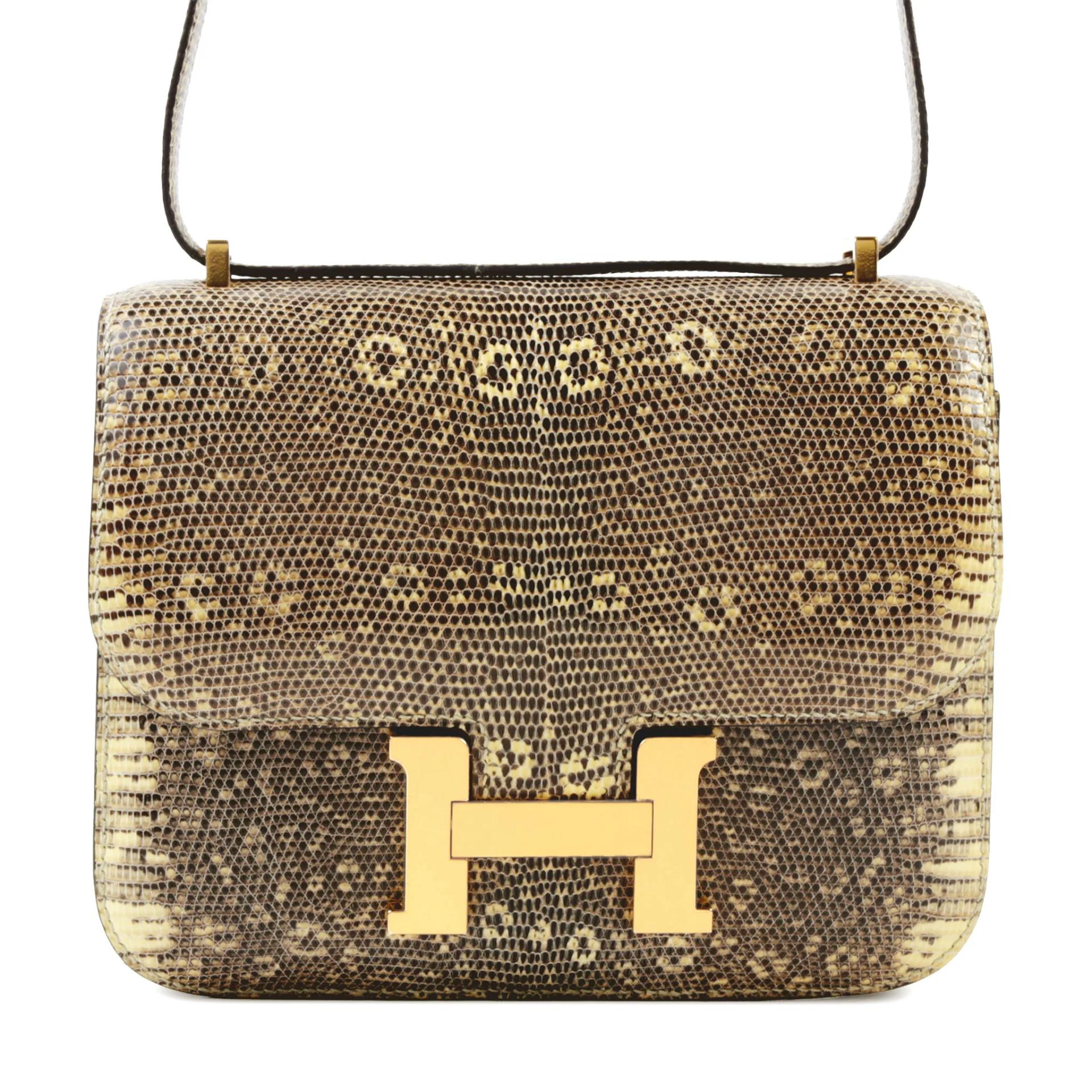 未使用保存品 HERMÈS 愛馬仕 Constance 康康 Mini 19 1B 原色蜥蜴 Ombre 蜥蜴皮 金扣 Y刻 2020年 - 1