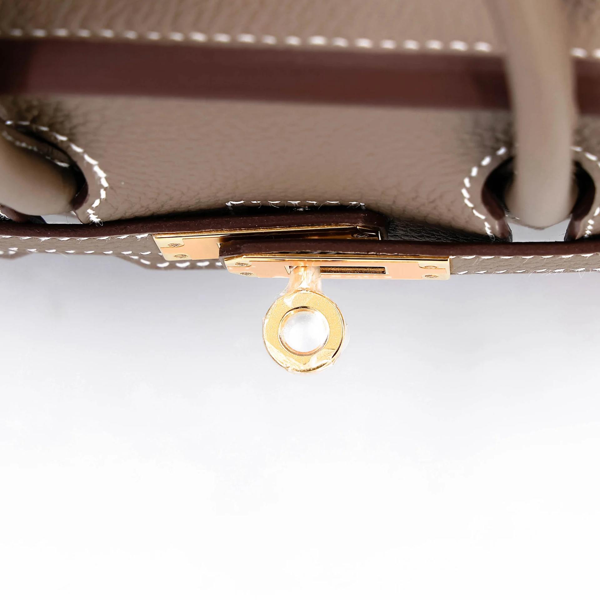 Brand New ( Rank N ) HERMÈS Birkin 25 Etoupe (18) Togo Gold hardware G (2026) - 9