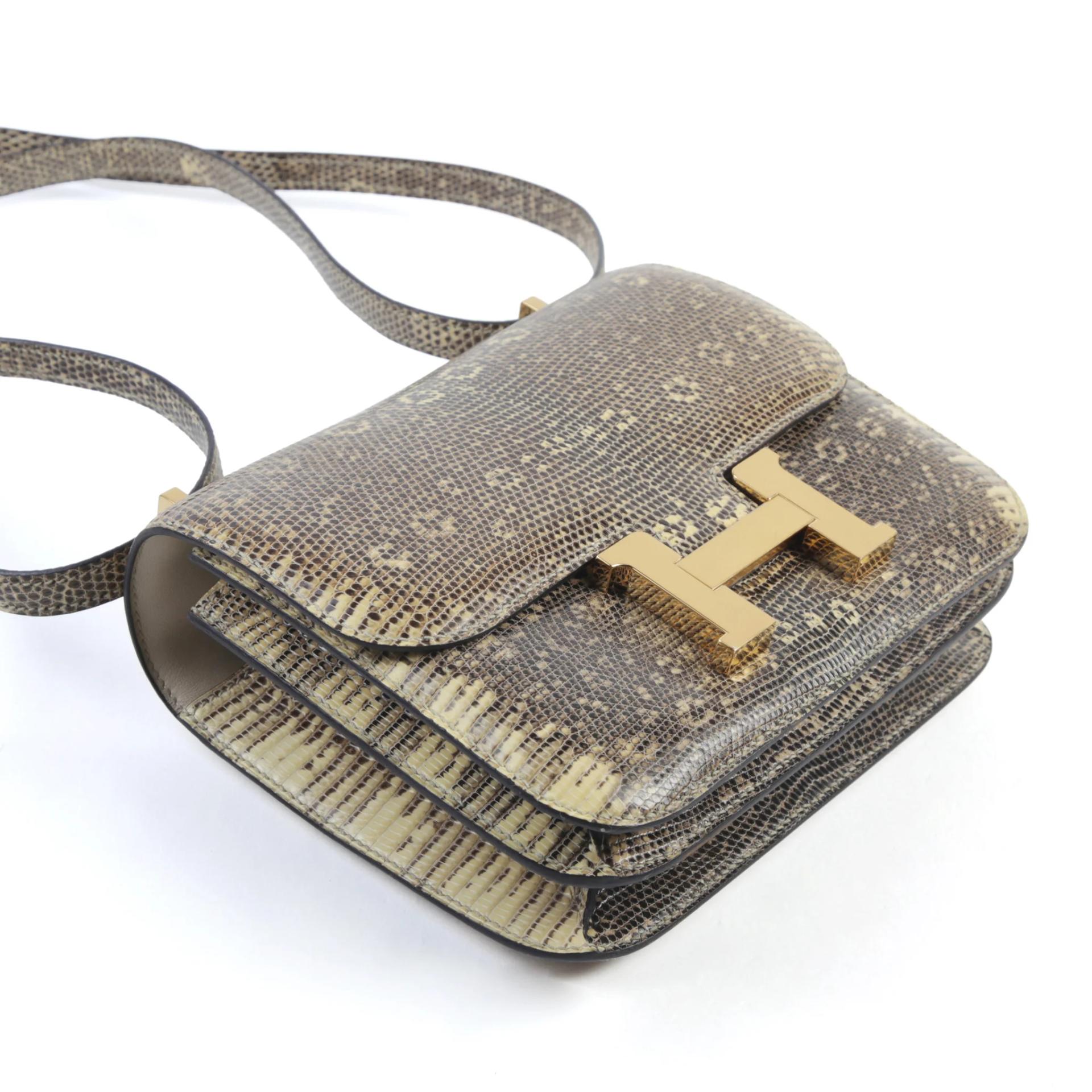 未使用保存品 HERMÈS 愛馬仕 Constance 康康 Mini 19 1B 原色蜥蜴 Ombre 蜥蜴皮 金扣 Y刻 2020年 - 5