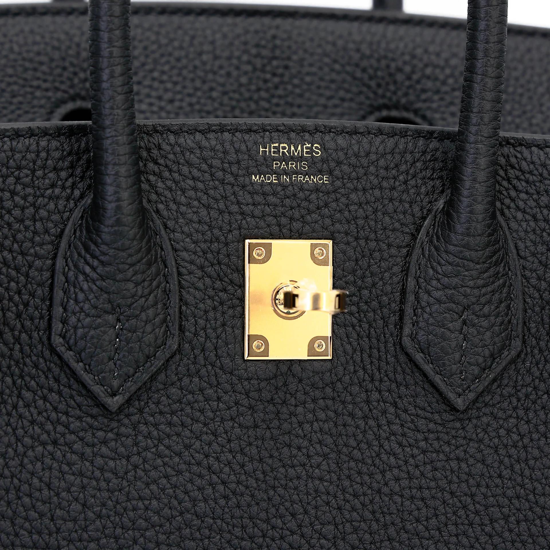 Brand New ( Rank N ) HERMÈS Birkin 25 Noir (89) Togo Gold hardware K (2025) - 10