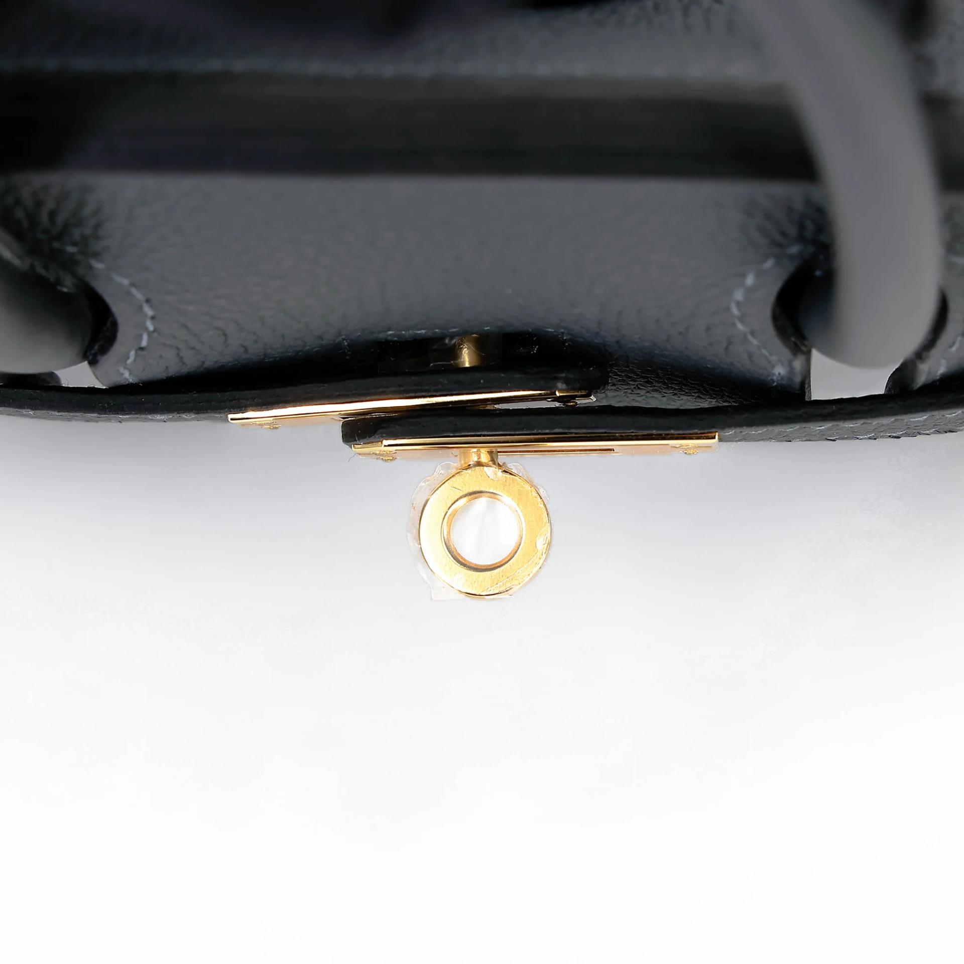 Brand New ( Rank N ) HERMÈS Birkin 25 Gris misty (H0) Togo Gold hardware G (2026) - 9