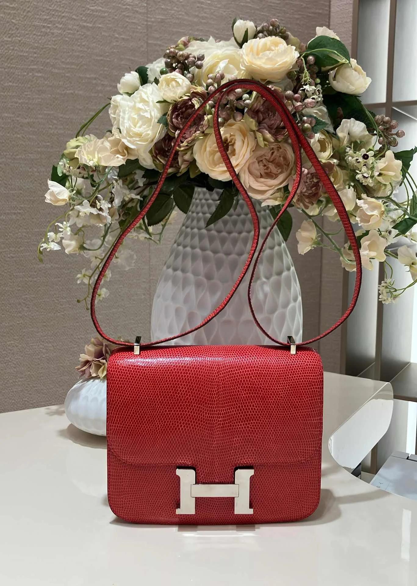 A美品 HERMÈS 愛馬仕 Constance 康康 Mini 19 A5 杜鵑紅 Bougainvillea 蜥蜴皮 銀扣 □N刻 2010年 - 15