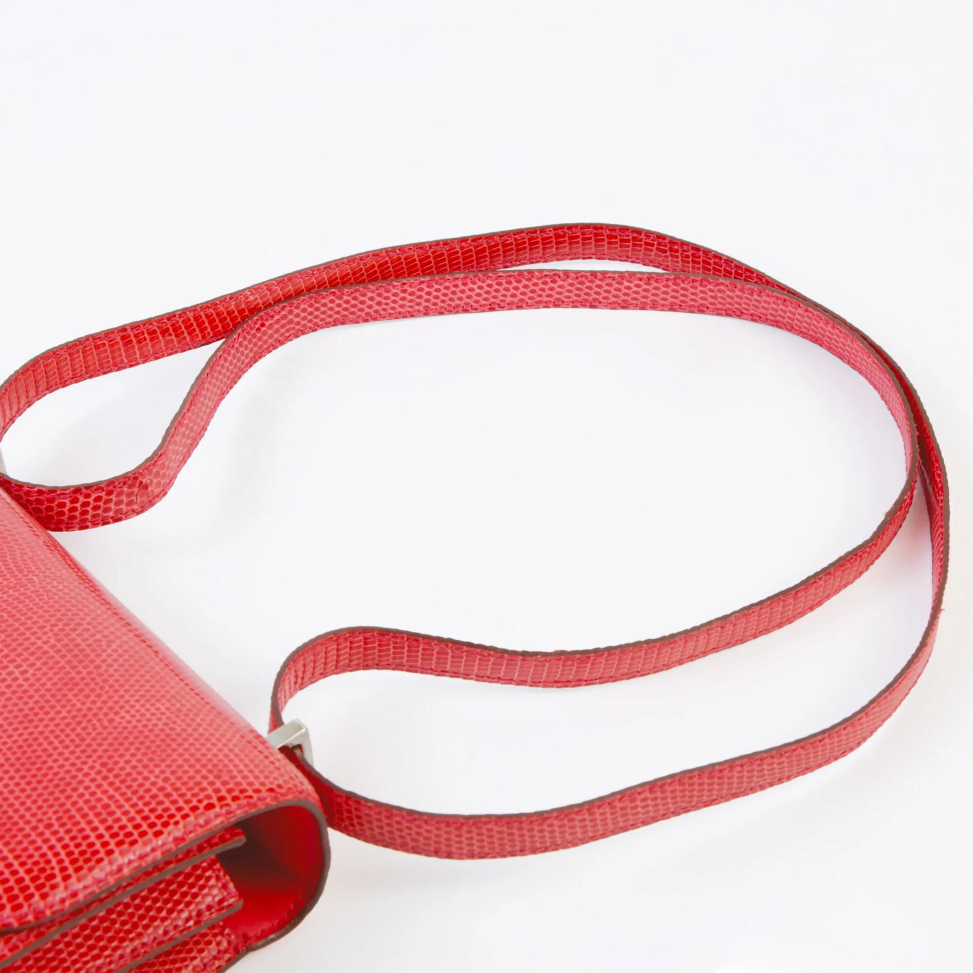 A美品 HERMÈS 愛馬仕 Constance 康康 Mini 19 A5 杜鵑紅 Bougainvillea 蜥蜴皮 銀扣 □N刻 2010年 - 3
