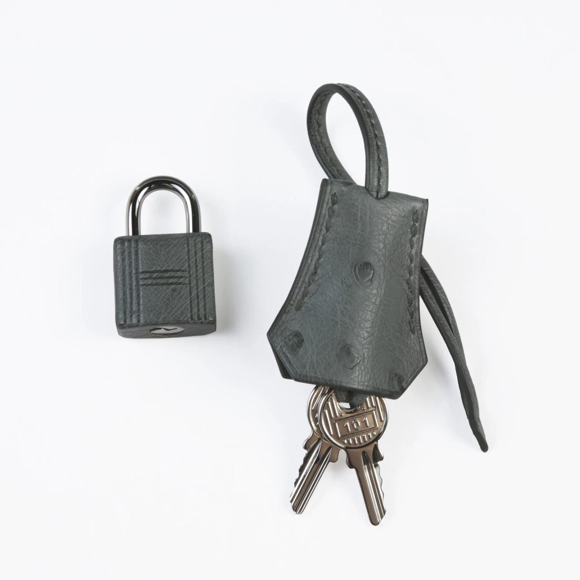 Brand New ( Rank N ) HERMÈS Birkin 25 Vert Amande (63) Ostrich Palladium hardware G (2026) - 14