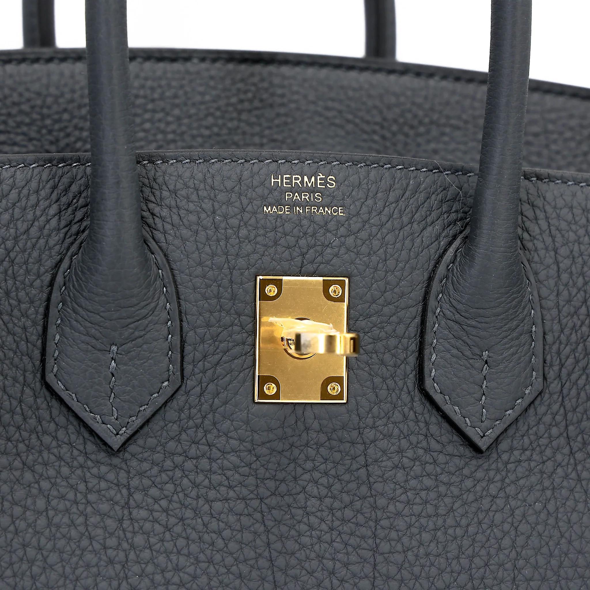 Brand New ( Rank N ) HERMÈS Birkin 25 Gris misty (H0) Togo Gold hardware G (2026) - 10