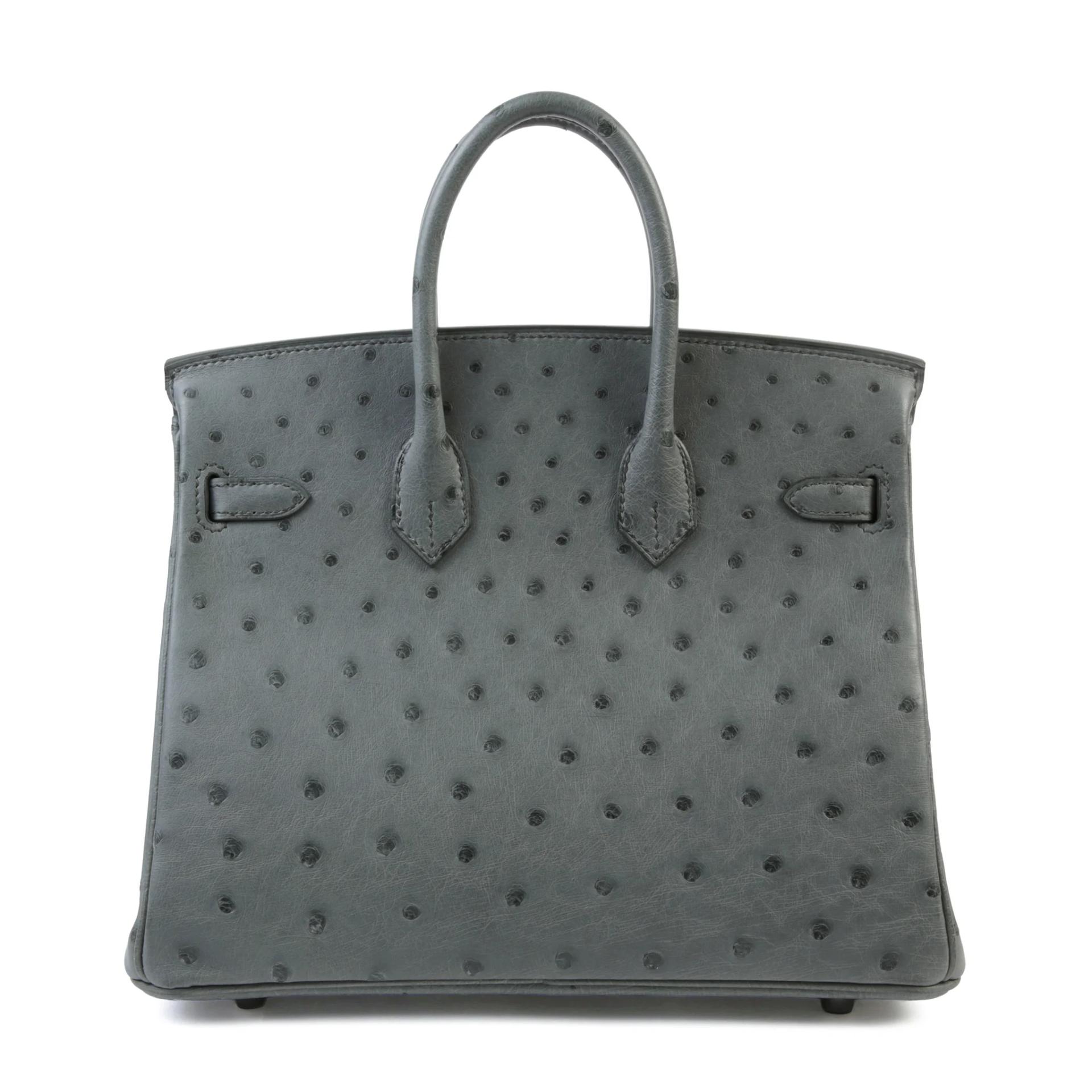 Brand New ( Rank N ) HERMÈS Birkin 25 Vert Amande (63) Ostrich Palladium hardware G (2026) - 2
