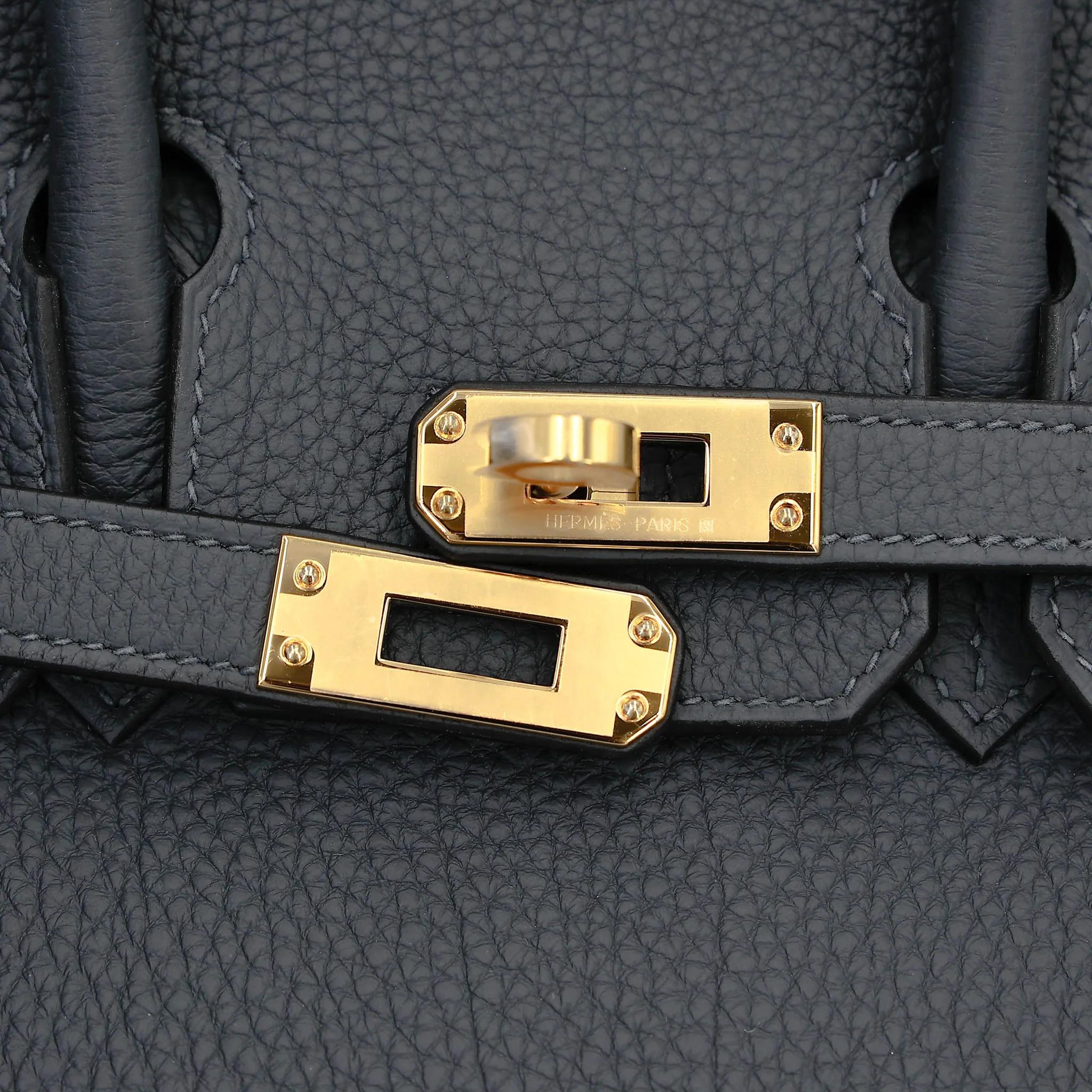 Brand New ( Rank N ) HERMÈS Birkin 25 Gris misty (H0) Togo Gold hardware G (2026) - 8