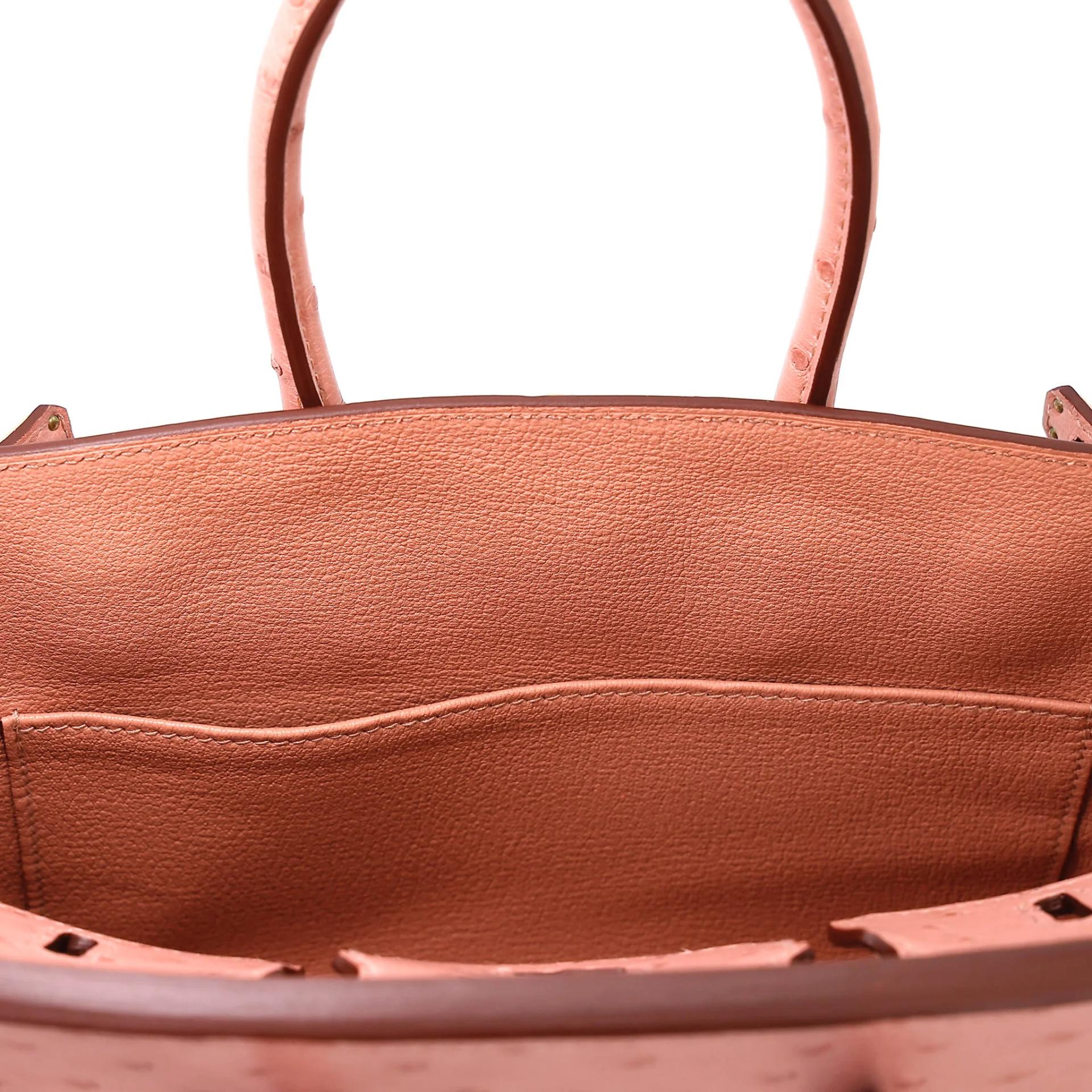 未使用保存品 HERMÈS 愛馬仕 Birkin 25 94 陶瓷粉 Terre Cuite 鴕鳥皮 金扣 B刻 2023年 - 17