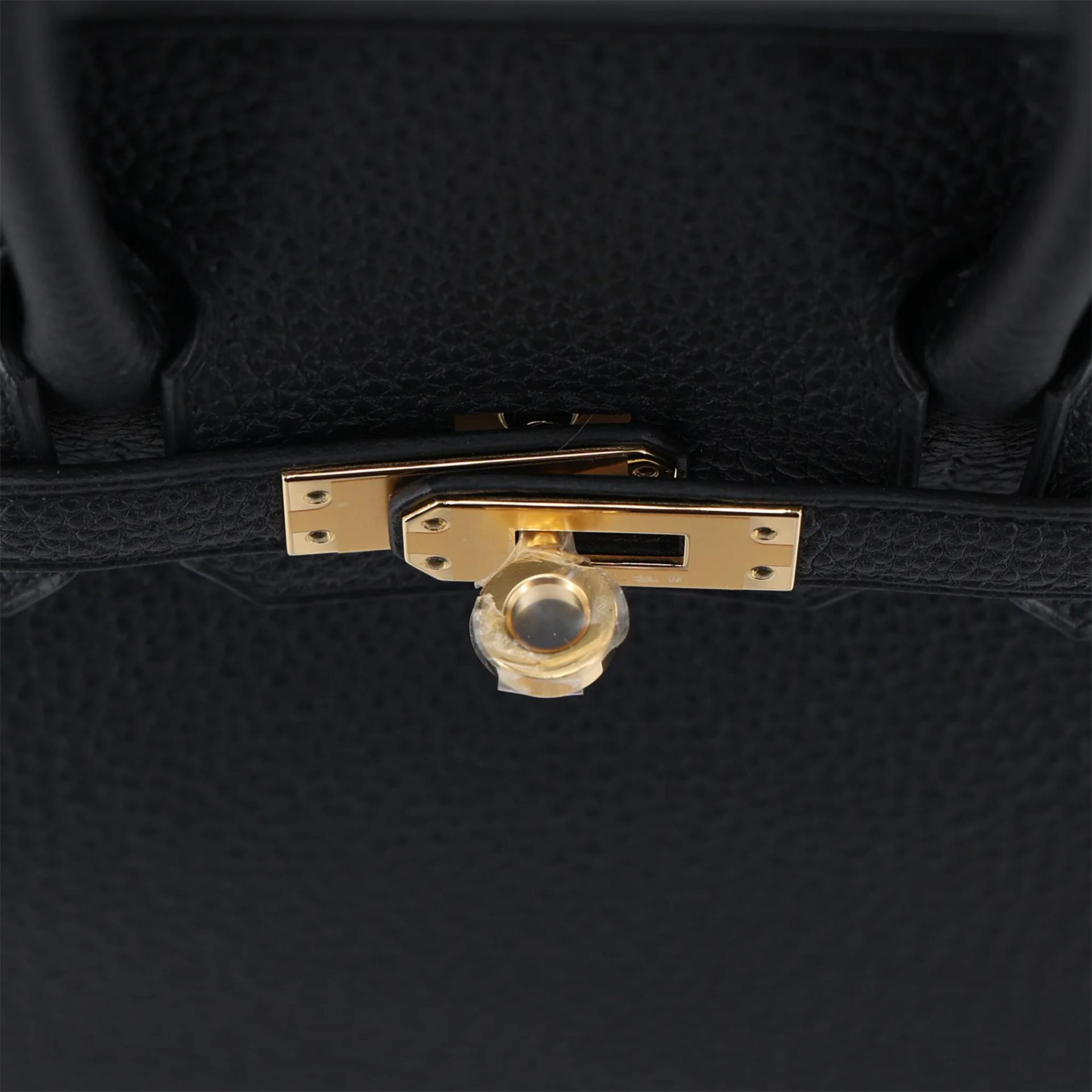 Brand New ( Rank N ) HERMÈS Birkin 25 Noir (89) Togo Gold hardware G (2026) - 9