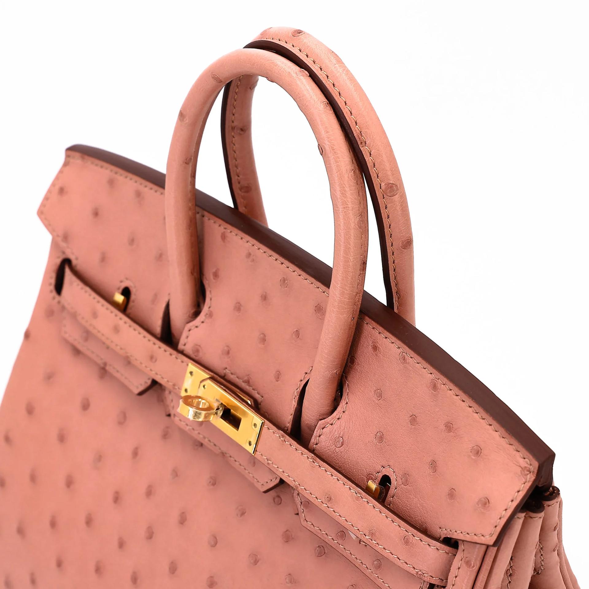 未使用保存品 HERMÈS 愛馬仕 Birkin 25 94 陶瓷粉 Terre Cuite 鴕鳥皮 金扣 B刻 2023年 - 3