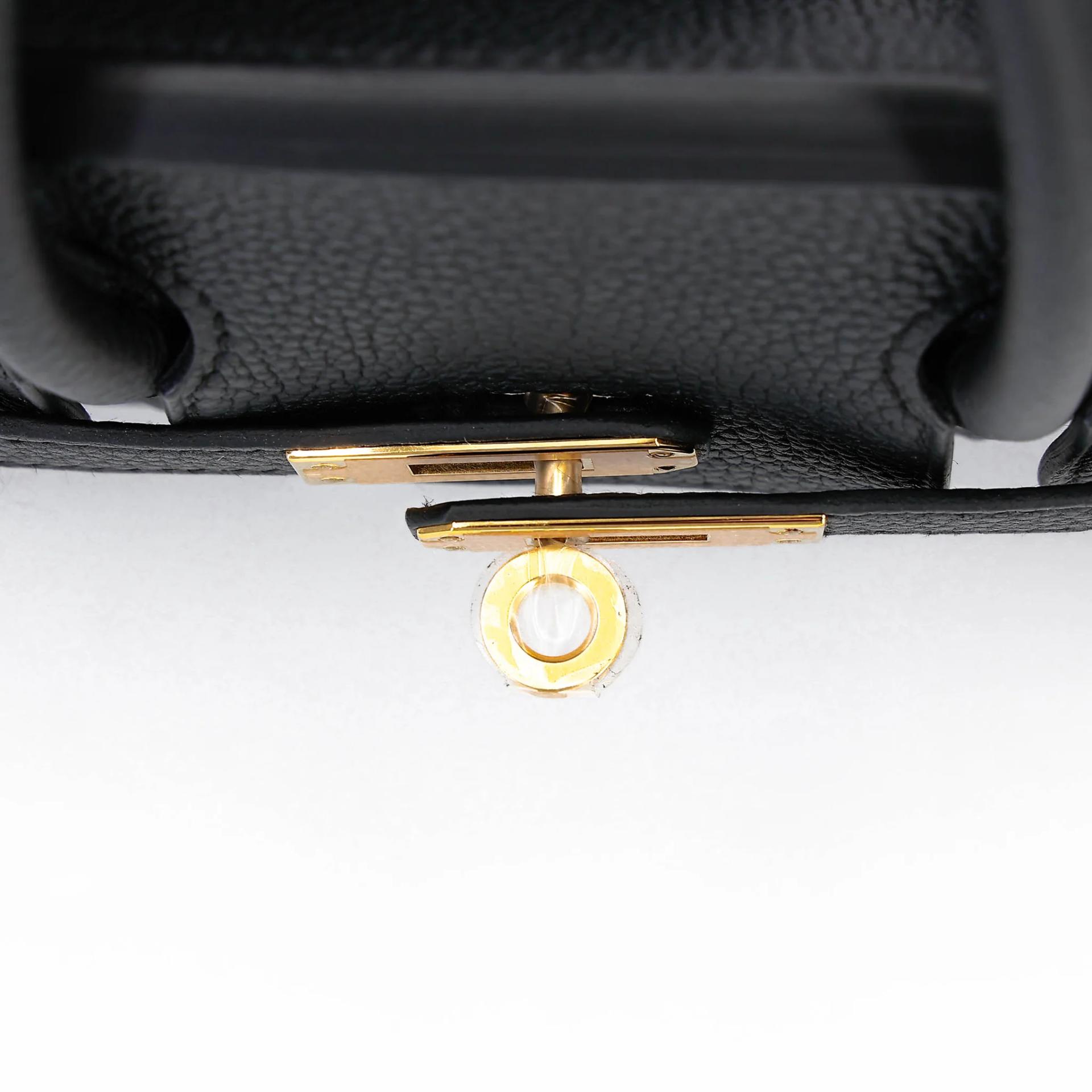 Brand New ( Rank N ) HERMÈS Birkin 25 Noir (89) Togo Gold hardware G (2026) - 9