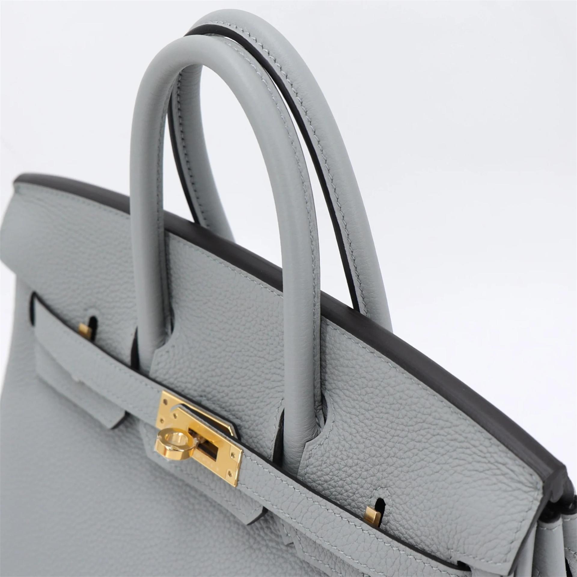 Brand New ( Rank N ) HERMÈS Birkin 25 Bleu Glacier (8U) Togo Gold hardware K (2025) - 3