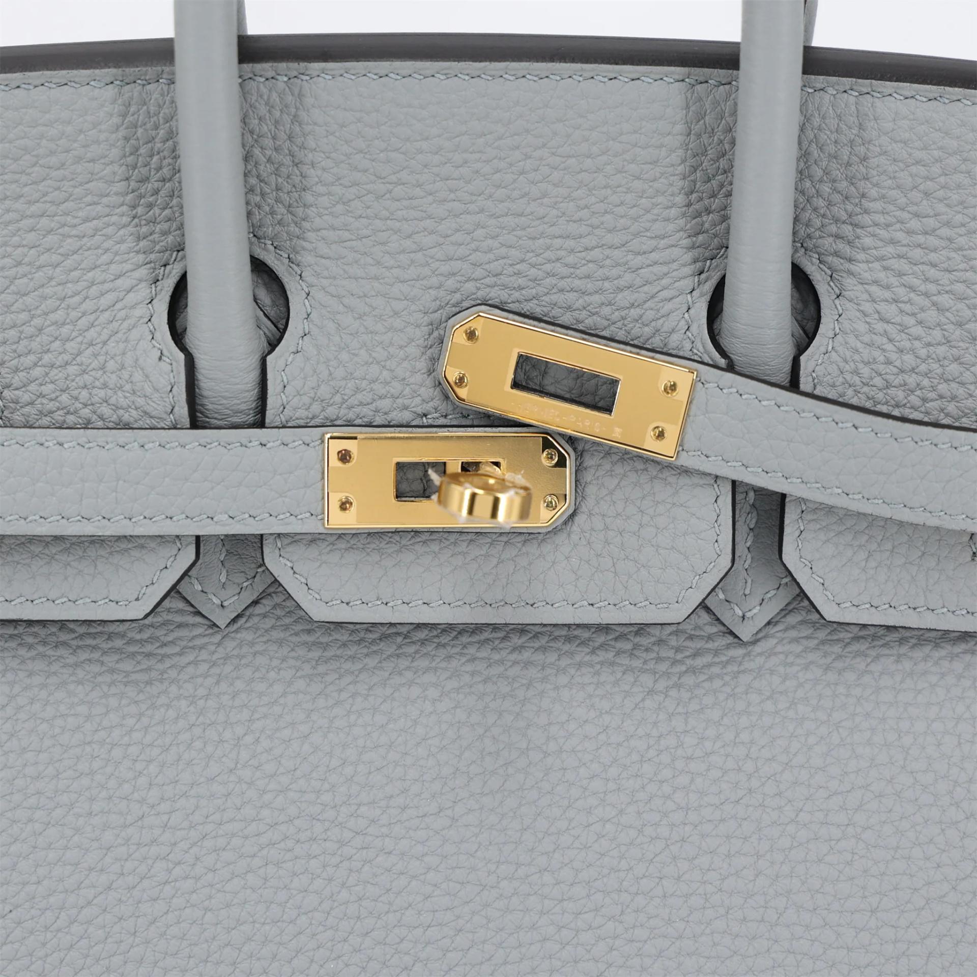 Brand New ( Rank N ) HERMÈS Birkin 25 Bleu Glacier (8U) Togo Gold hardware K (2025) - 8