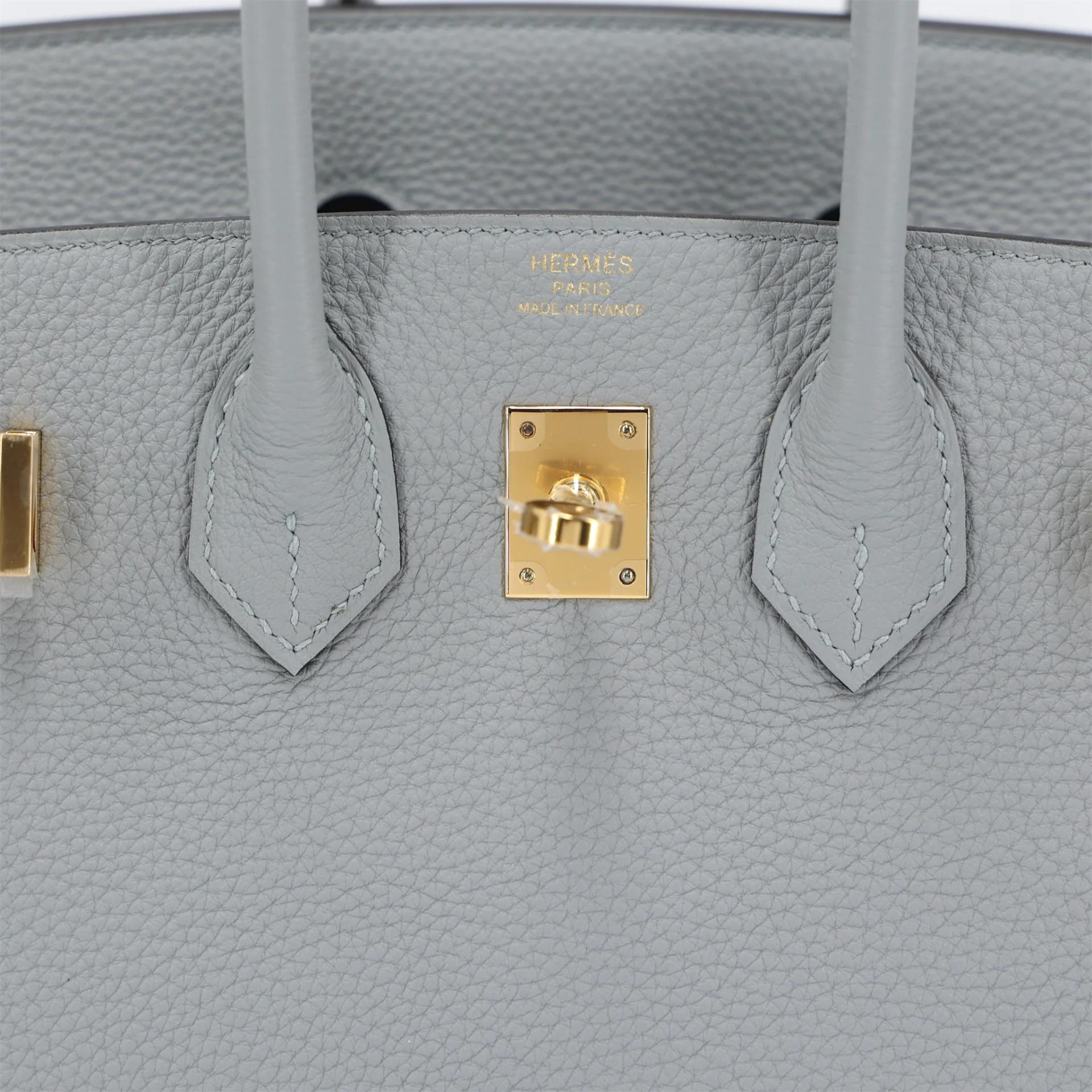 Brand New ( Rank N ) HERMÈS Birkin 25 Bleu Glacier (8U) Togo Gold hardware K (2025) - 10