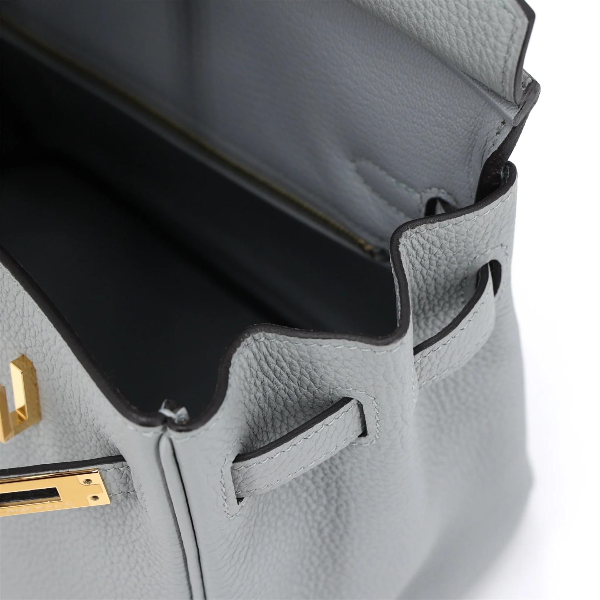 Brand New ( Rank N ) HERMÈS Birkin 25 Bleu Glacier (8U) Togo Gold hardware K (2025) - 13
