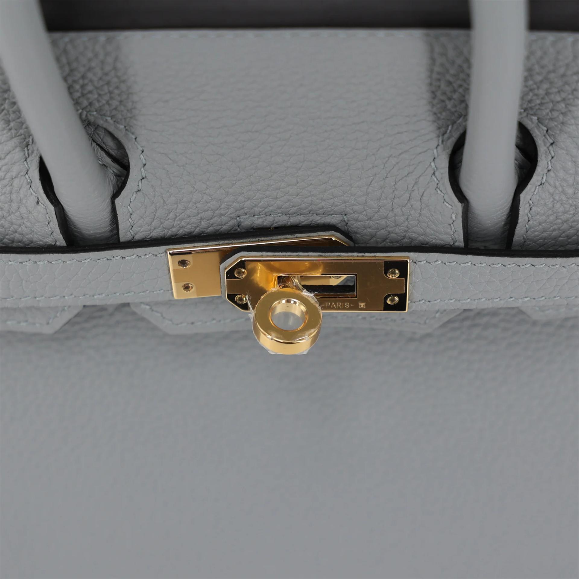 Brand New ( Rank N ) HERMÈS Birkin 25 Bleu Glacier (8U) Togo Gold hardware K (2025) - 9