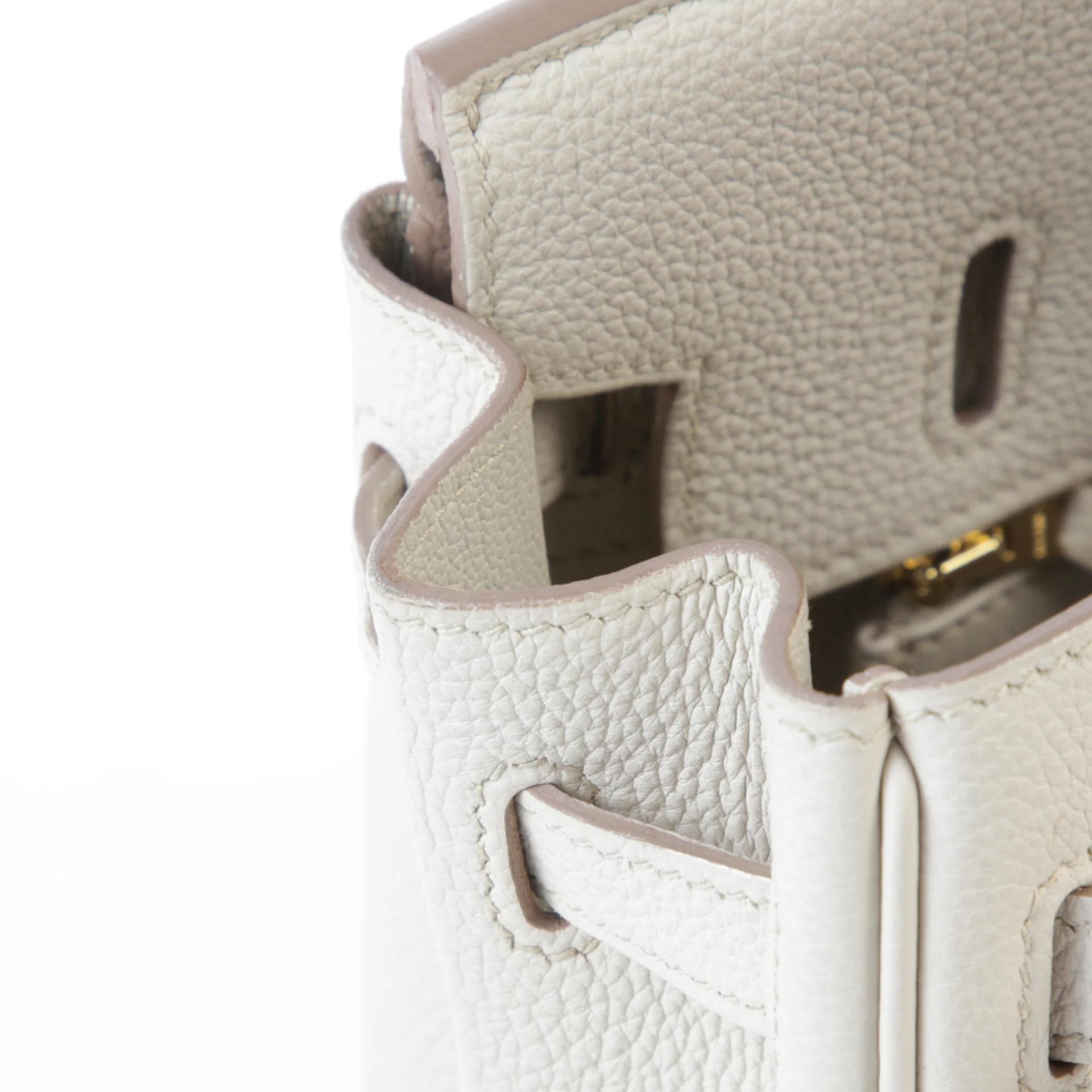 ランク A HERMÈS エルメス バーキン25 グリパール (80) トゴ ゴールド金具 C刻印 (2018) - 12