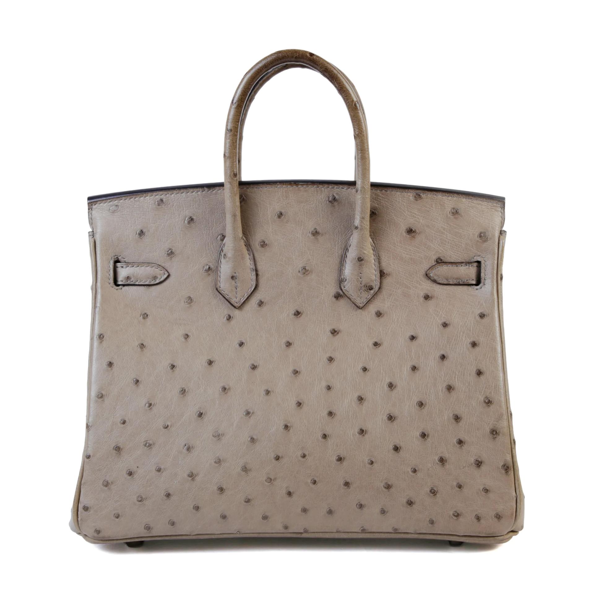 Birkin 25 Mousse (19)