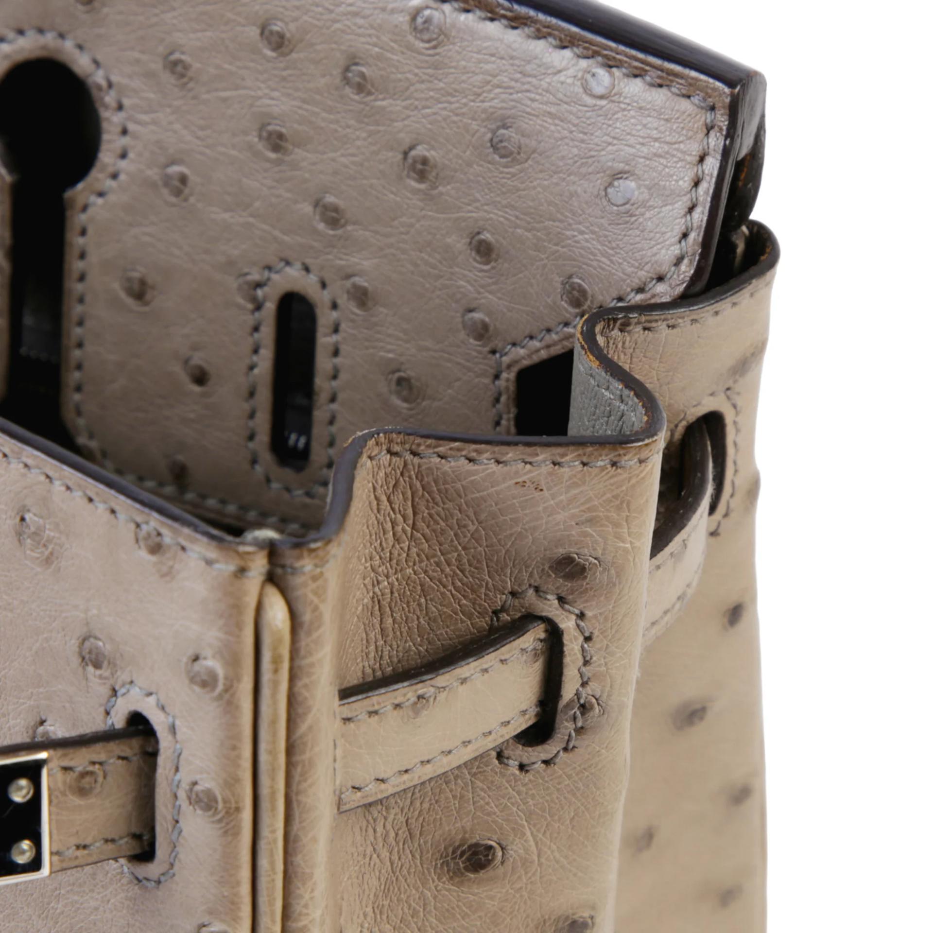 Very Good ( Rank A) HERMÈS Birkin 25 Mousse (19) Ostrich Palladium hardware Square R (2014) - 12