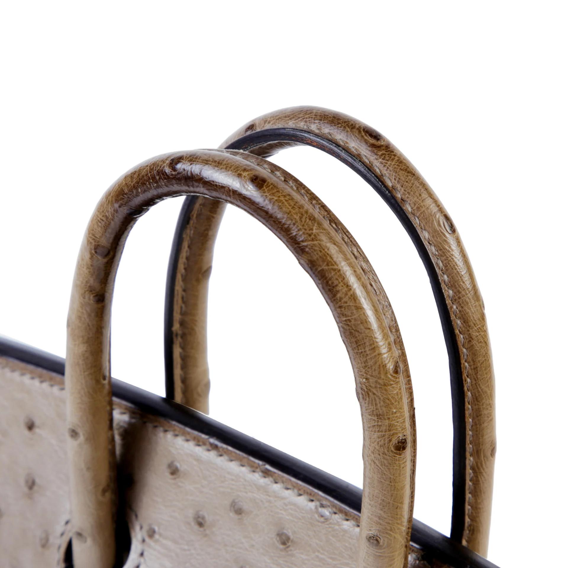 Very Good ( Rank A) HERMÈS Birkin 25 Mousse (19) Ostrich Palladium hardware Square R (2014) - 3