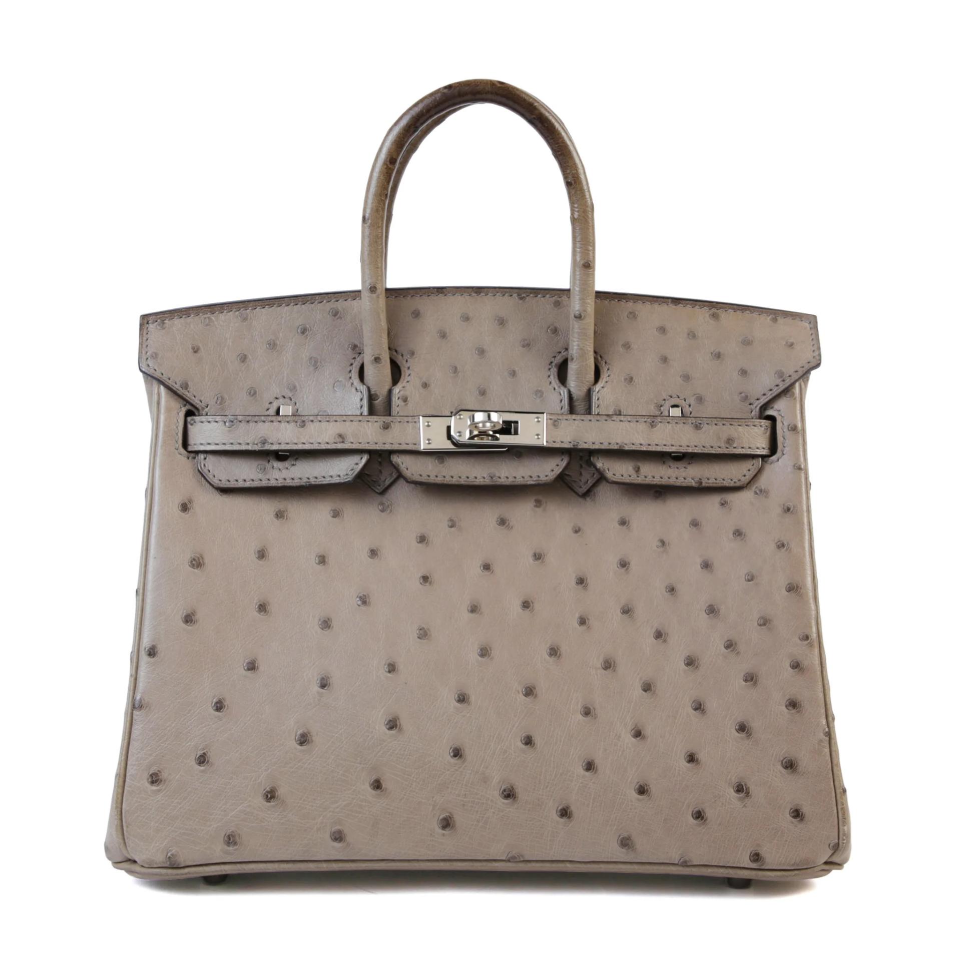 Birkin 25 Mousse (19)