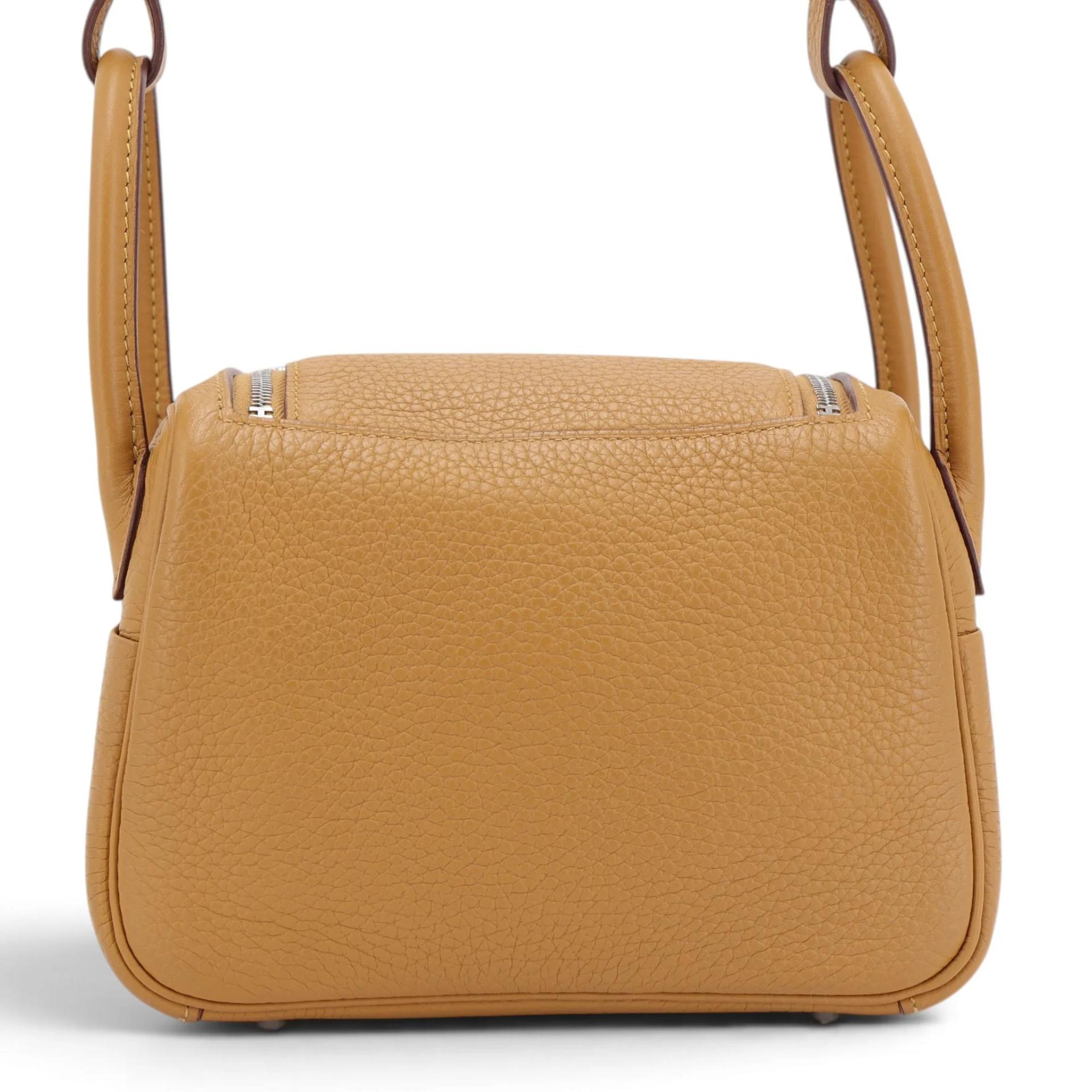 Mini Lindy Biscuit (4B)