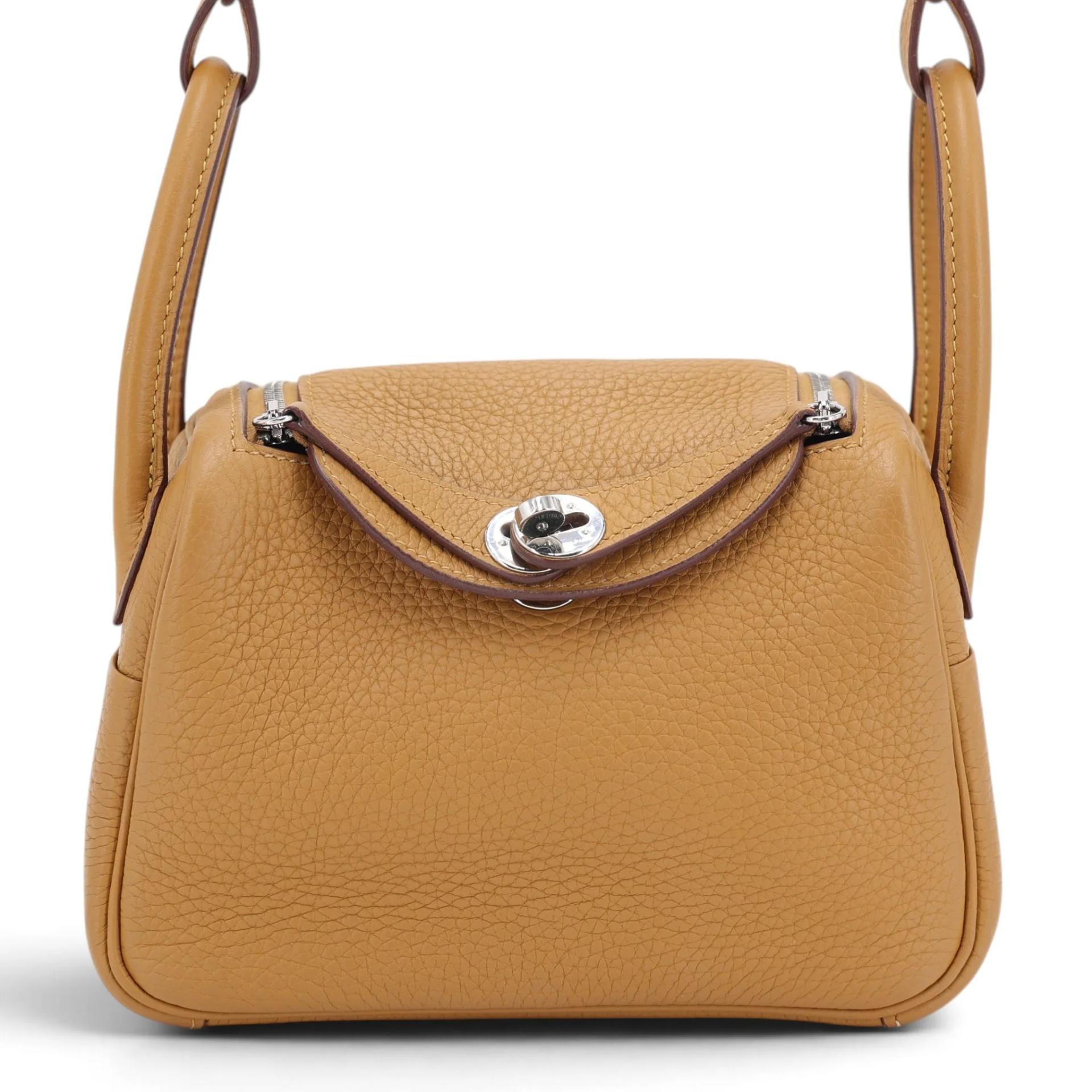 Mini Lindy Biscuit (4B)