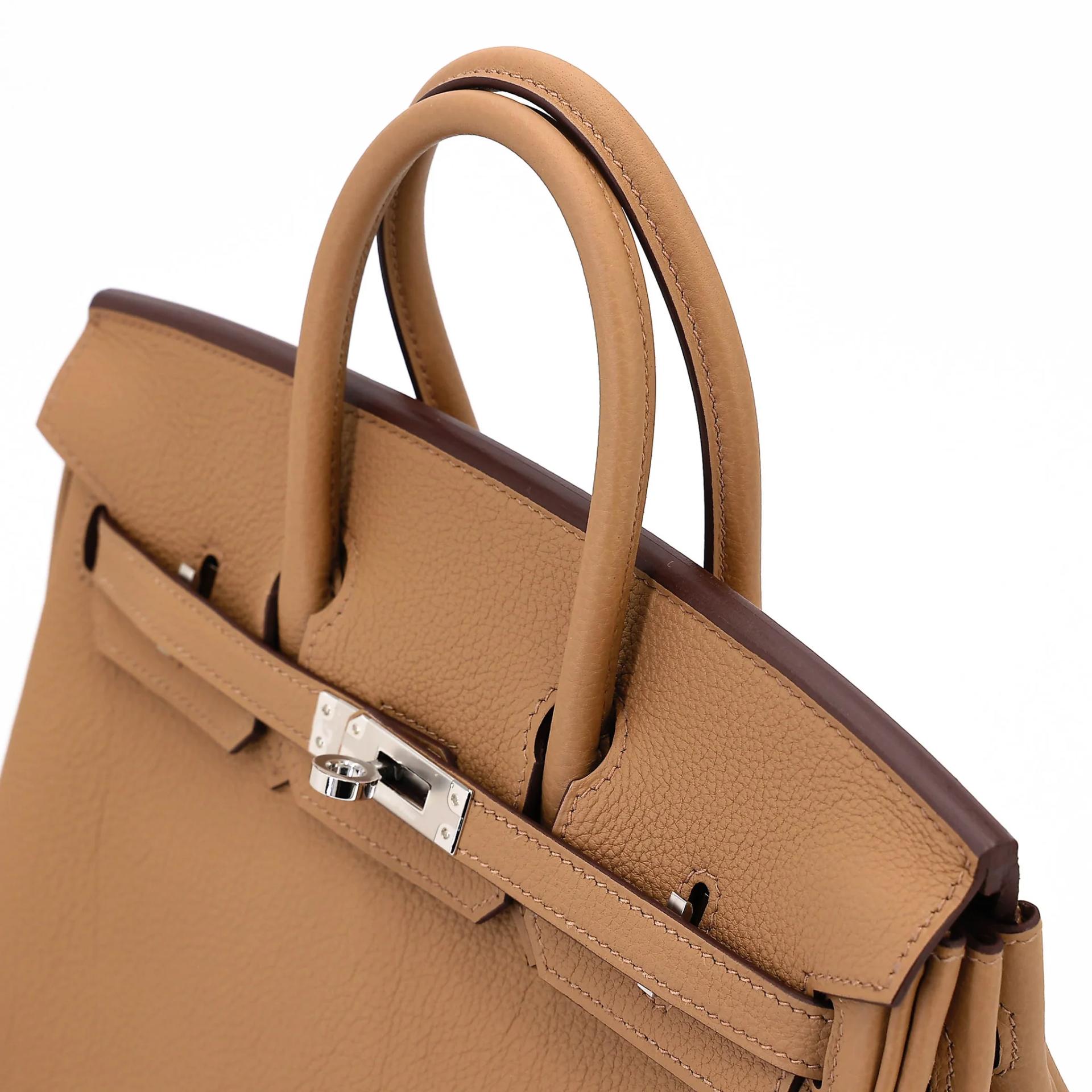 Brand New ( Rank N ) HERMÈS Birkin 25 Biscuit (4B) Togo Palladium hardware G (2026) - 3