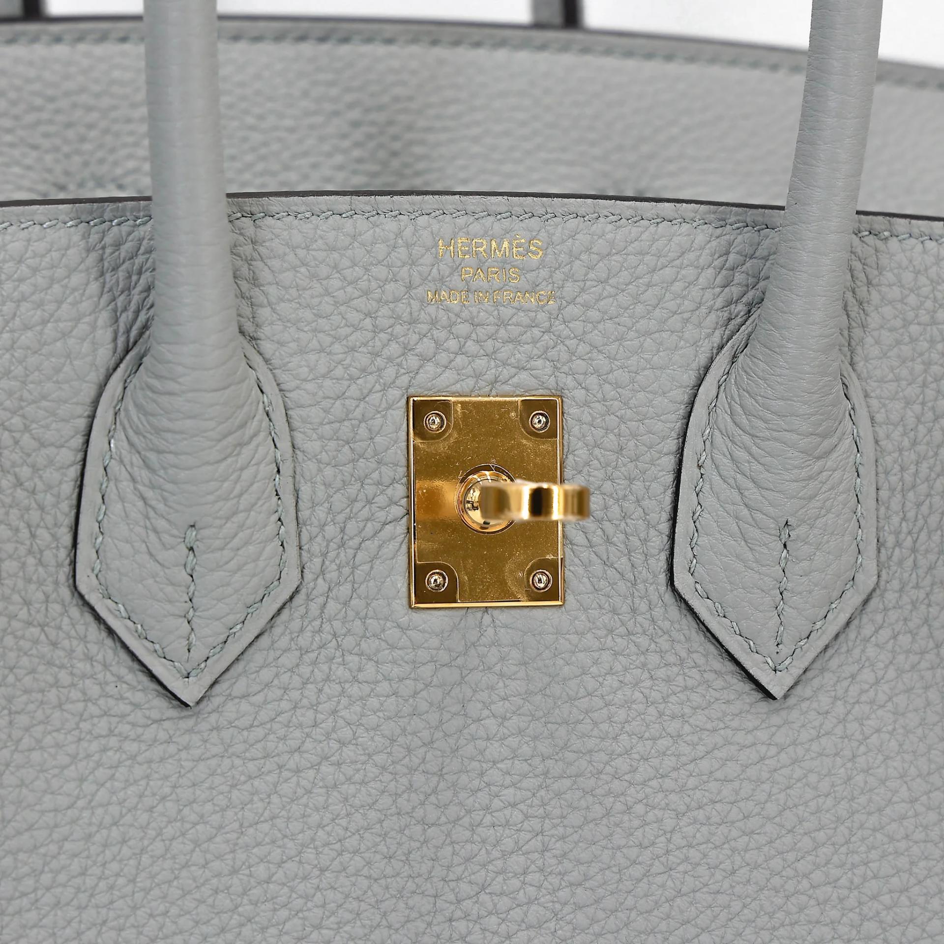 Brand New ( Rank N ) HERMÈS Birkin 25 Bleu Glacier (8U) Togo Gold hardware K (2025) - 10