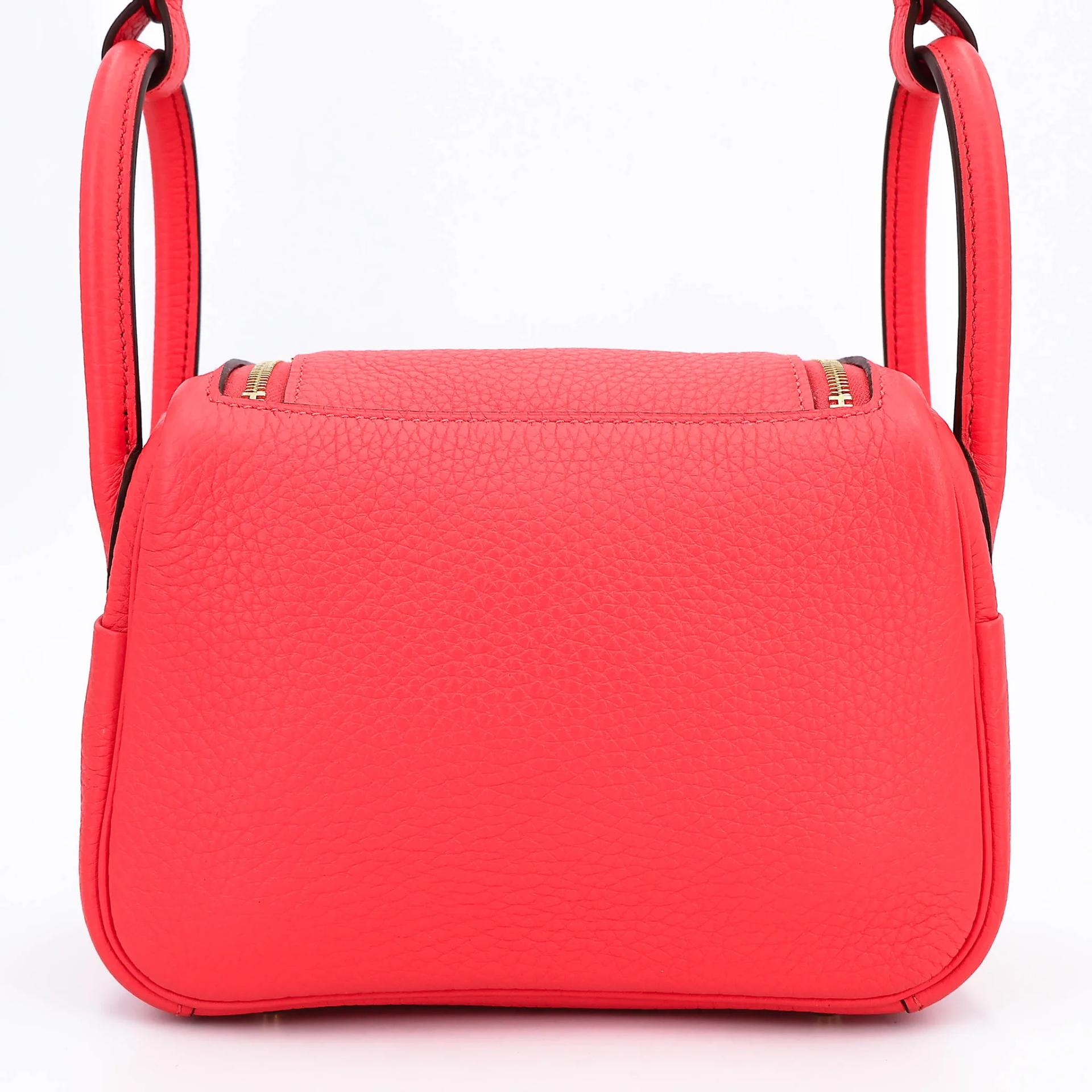Mini Lindy Rose Jaipur (T5)