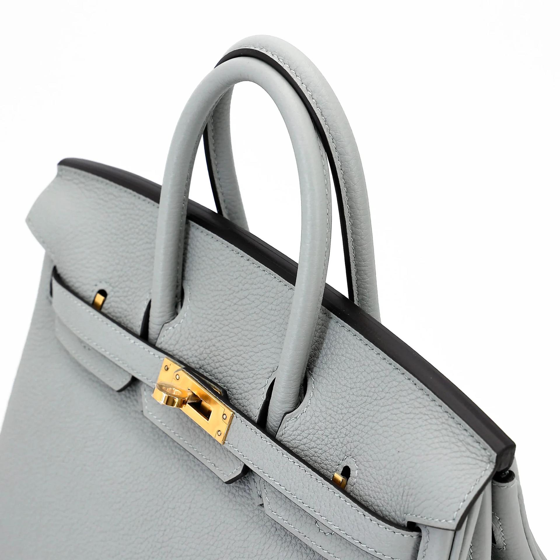 Brand New ( Rank N ) HERMÈS Birkin 25 Bleu Glacier (8U) Togo Gold hardware K (2025) - 3