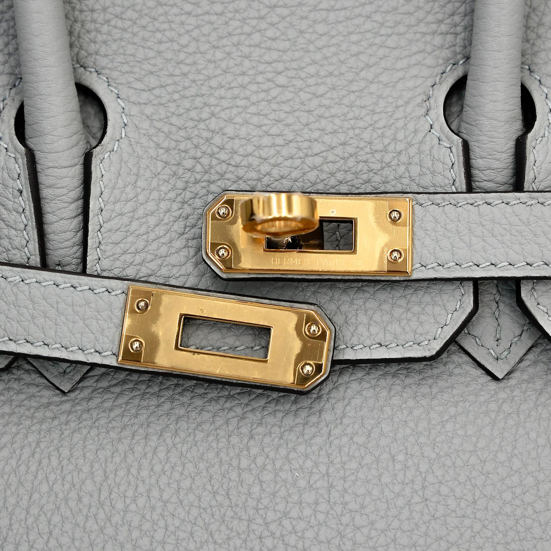 Brand New ( Rank N ) HERMÈS Birkin 25 Bleu Glacier (8U) Togo Gold hardware K (2025) - 8