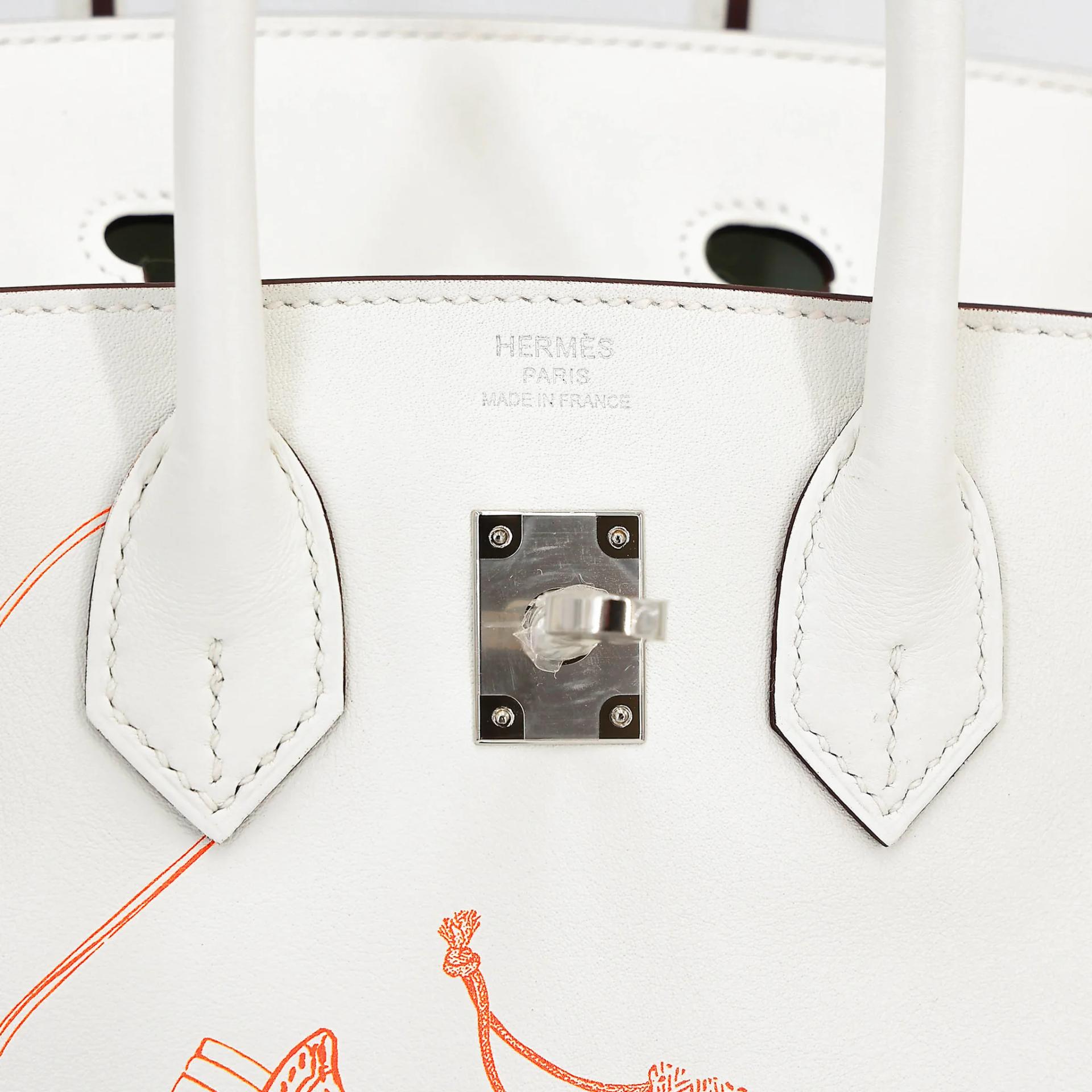 Unused ( Rank NS ) HERMÈS Limited Edition Birkin 25 In & Out White (01) Swift Palladium hardware B (2023) - 10