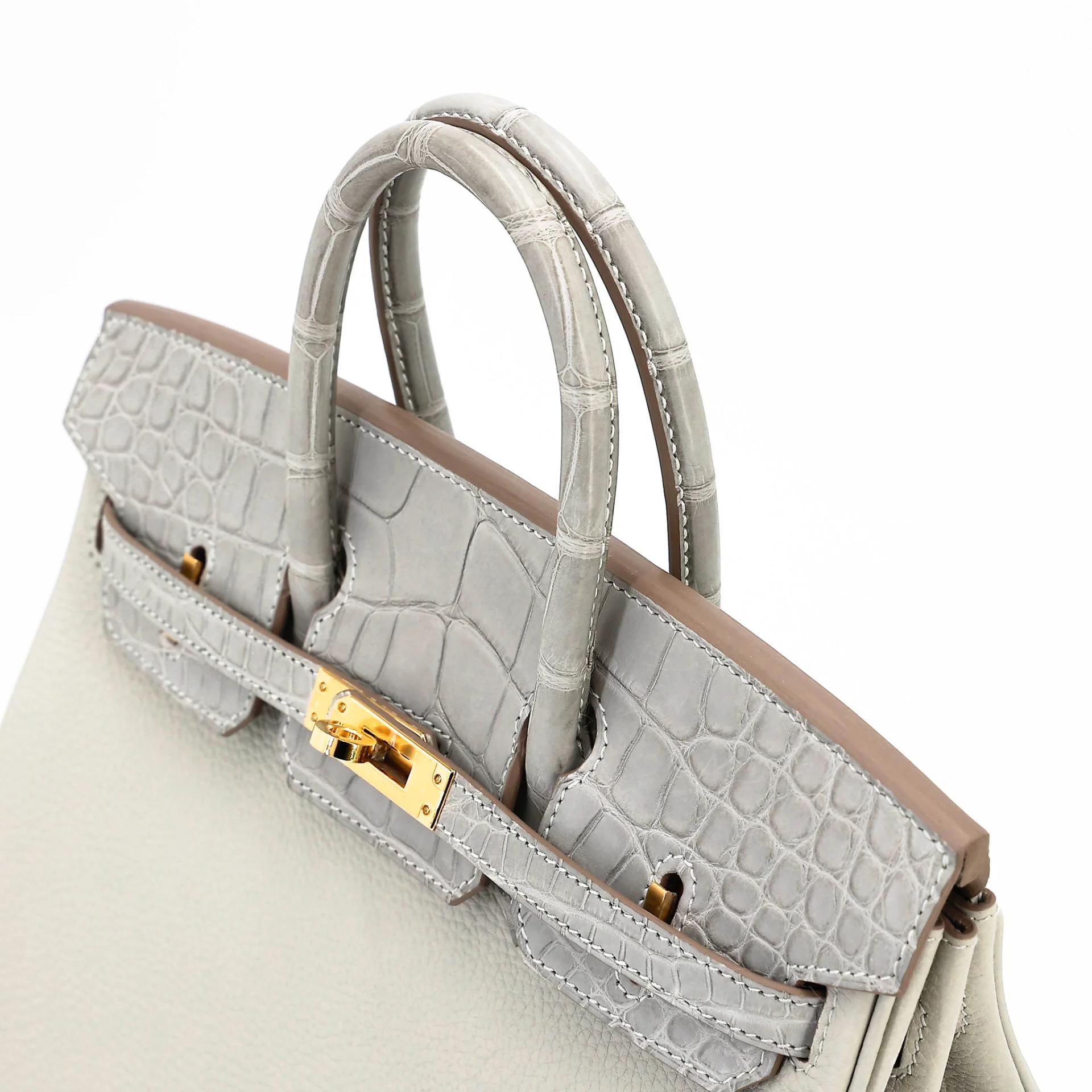 Unused ( Rank NS ) HERMÈS Birkin 25 Touch Gris Perle (80) Togo Matte Alligator Gold hardware U (2022) - 3