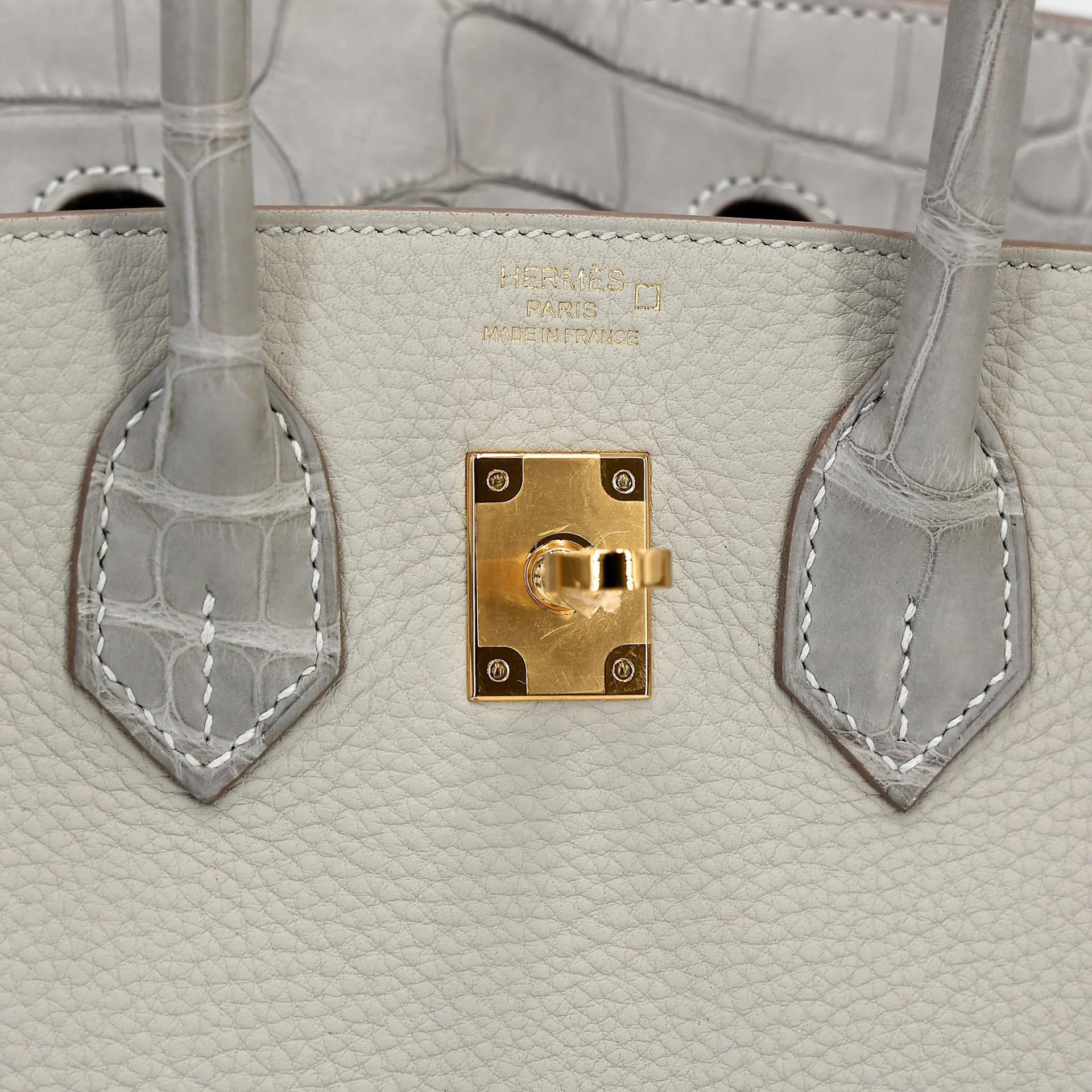 Unused ( Rank NS ) HERMÈS Birkin 25 Touch Gris Perle (80) Togo Matte Alligator Gold hardware U (2022) - 9