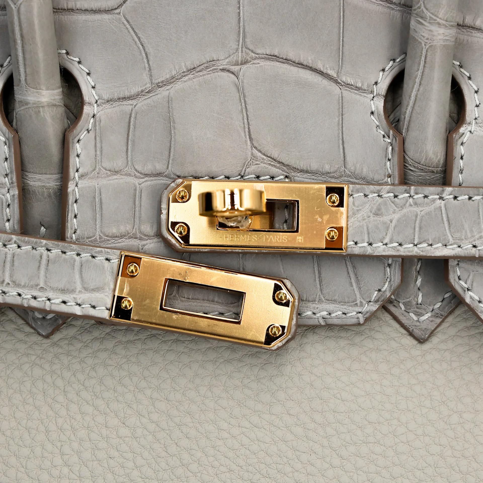 Unused ( Rank NS ) HERMÈS Birkin 25 Touch Gris Perle (80) Togo Matte Alligator Gold hardware U (2022) - 8