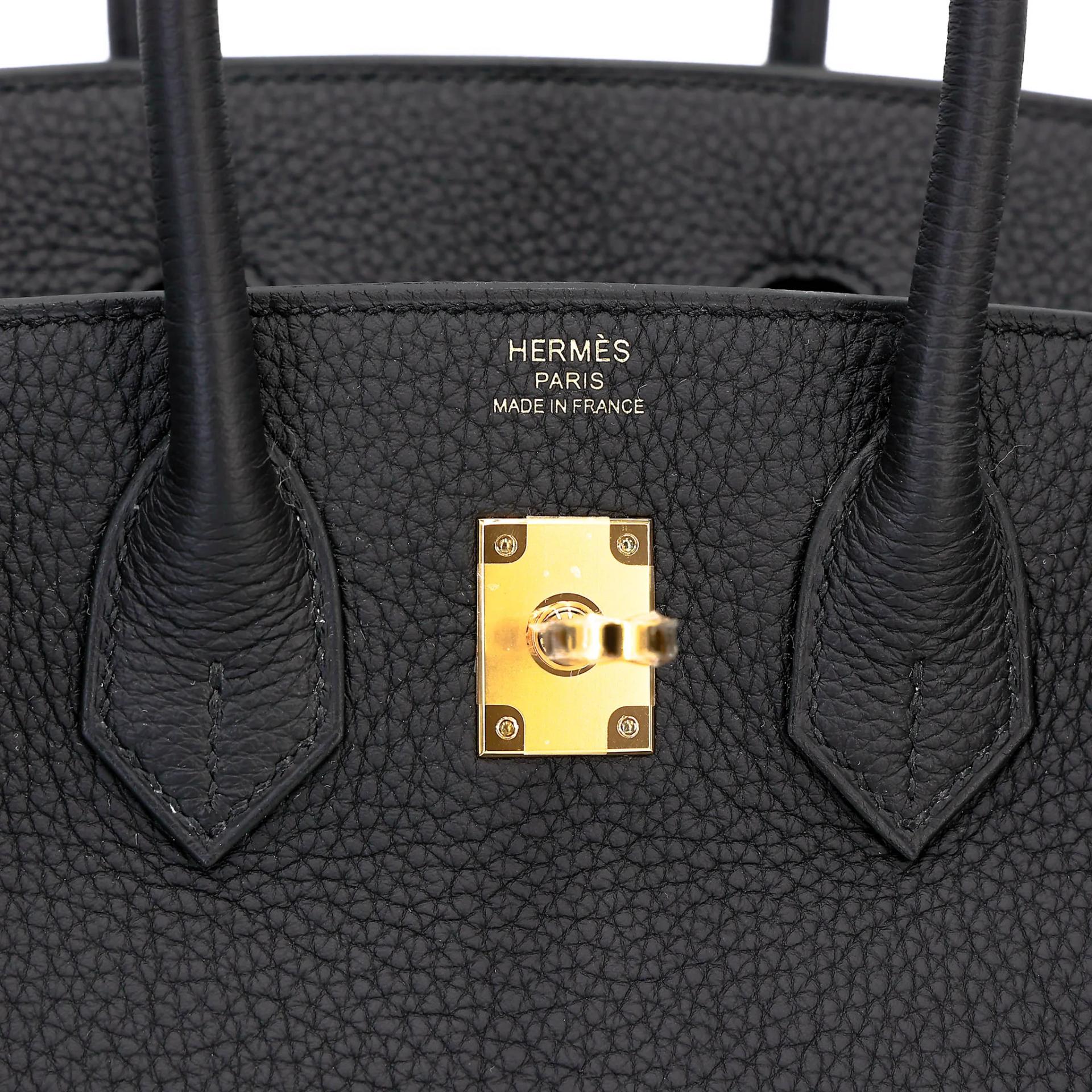 Brand New ( Rank N ) HERMÈS Birkin 25 Noir (89) Togo Gold hardware G (2026) - 10