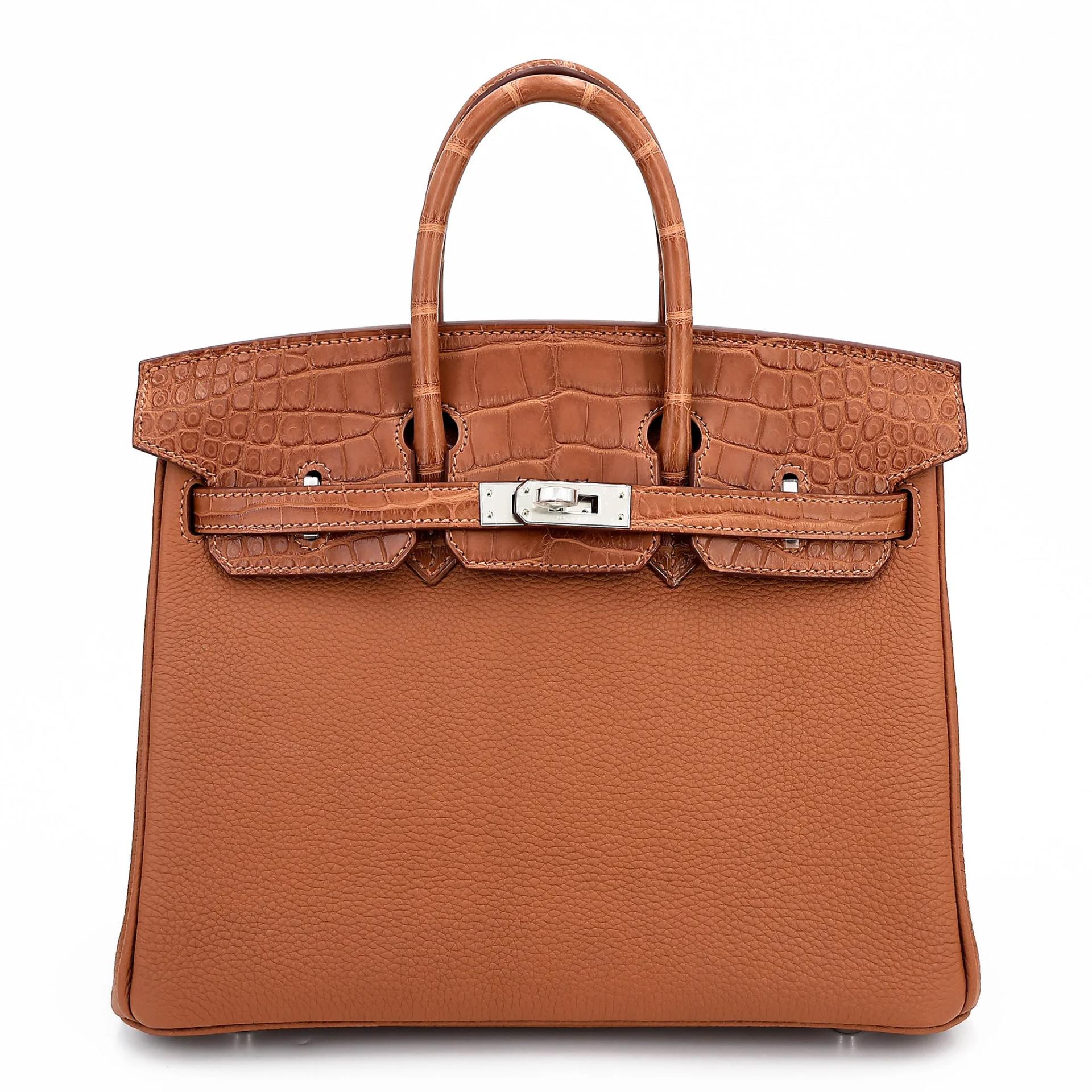 Birkin 25 Touch Gold (37)