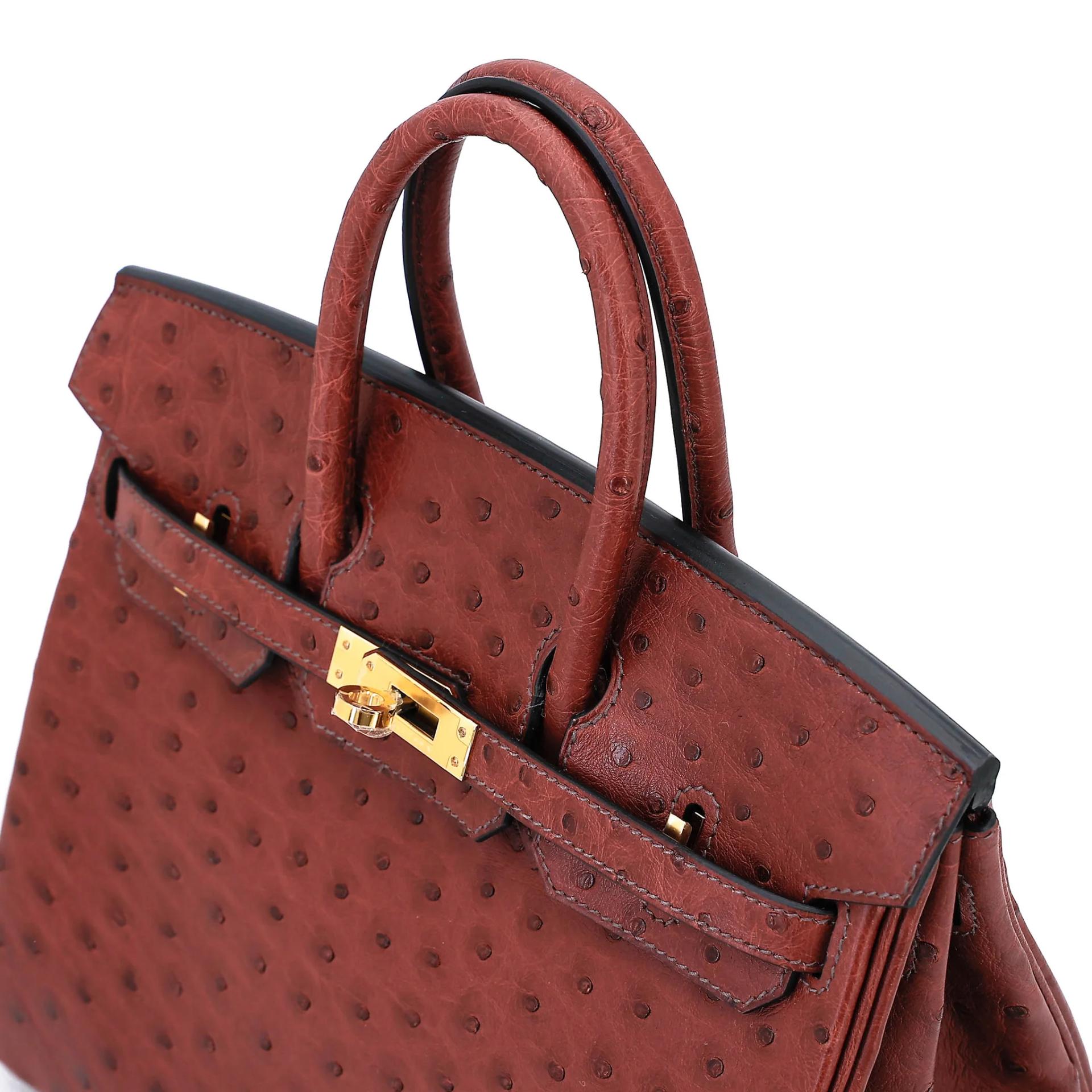 Brand New ( Rank N ) HERMÈS Birkin 25 Rouge H (55) Ostrich Gold hardware G (2026) - 3